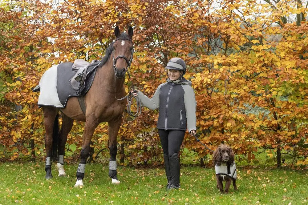 Silva Flash Waterproof Padded Jacket by Hy Equestrian - Image 3