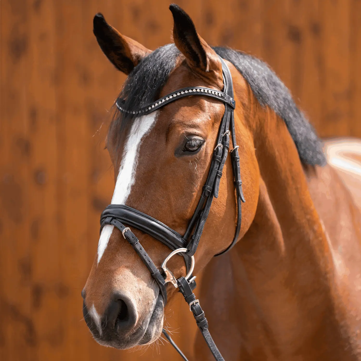 Sprenger Sensogan Dynamic RS Double Jointed Eggbutt Snaffle Bit - Image 4