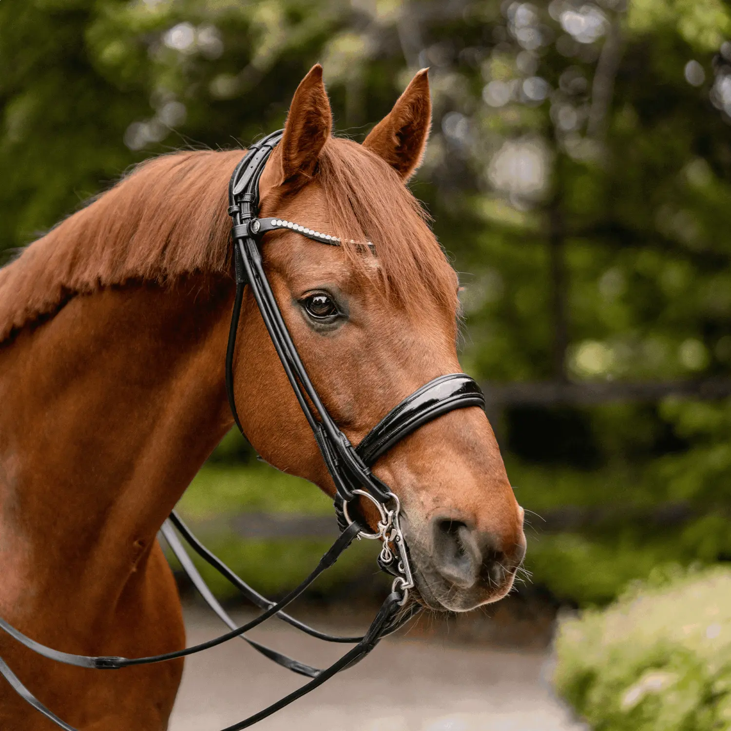 Sprenger Sensogan KK Dressage Weymouth Bit - Image 4