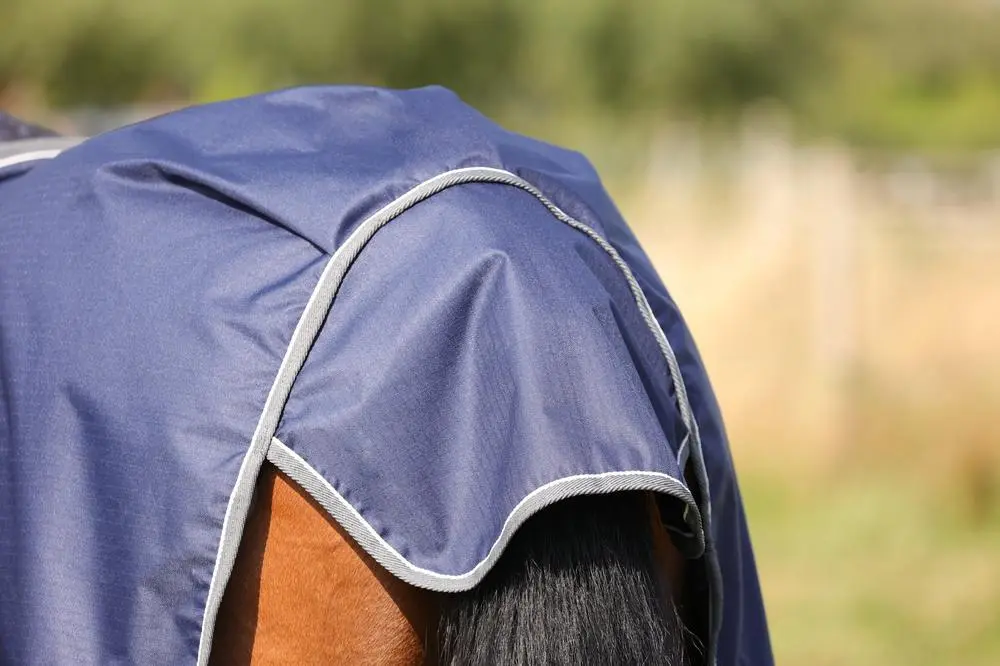 StormX Empra 100 Turnout Rug - Image 4