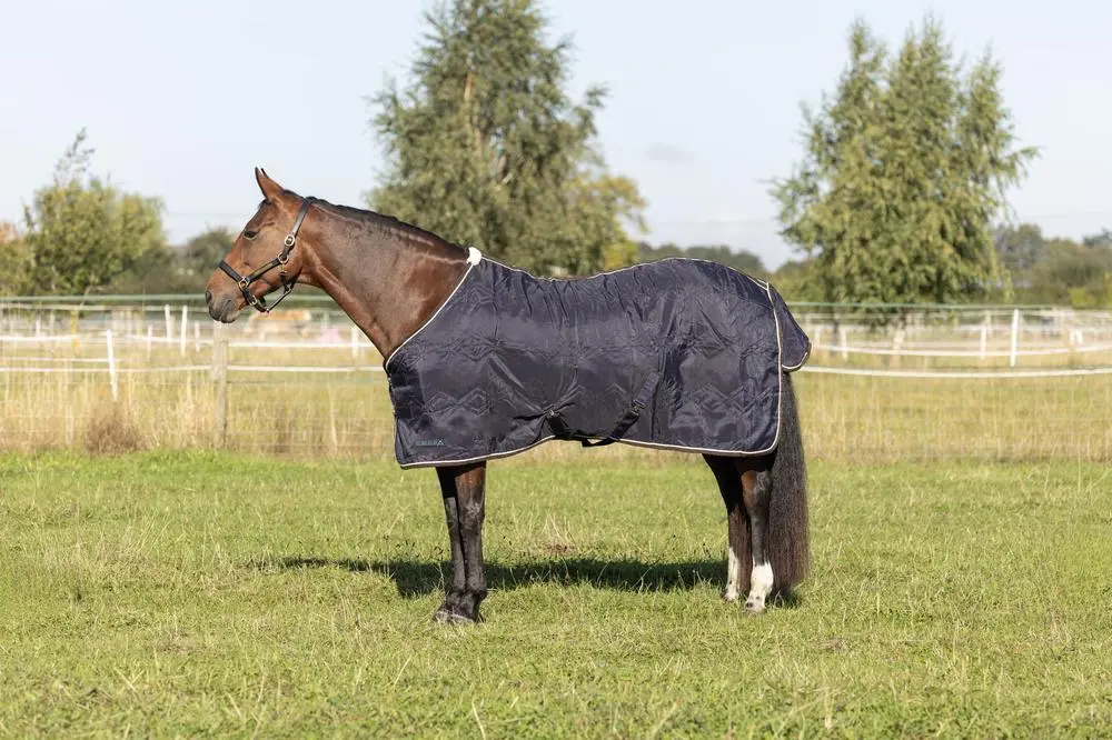StormX Empra Luxury Show Rug - Image 7