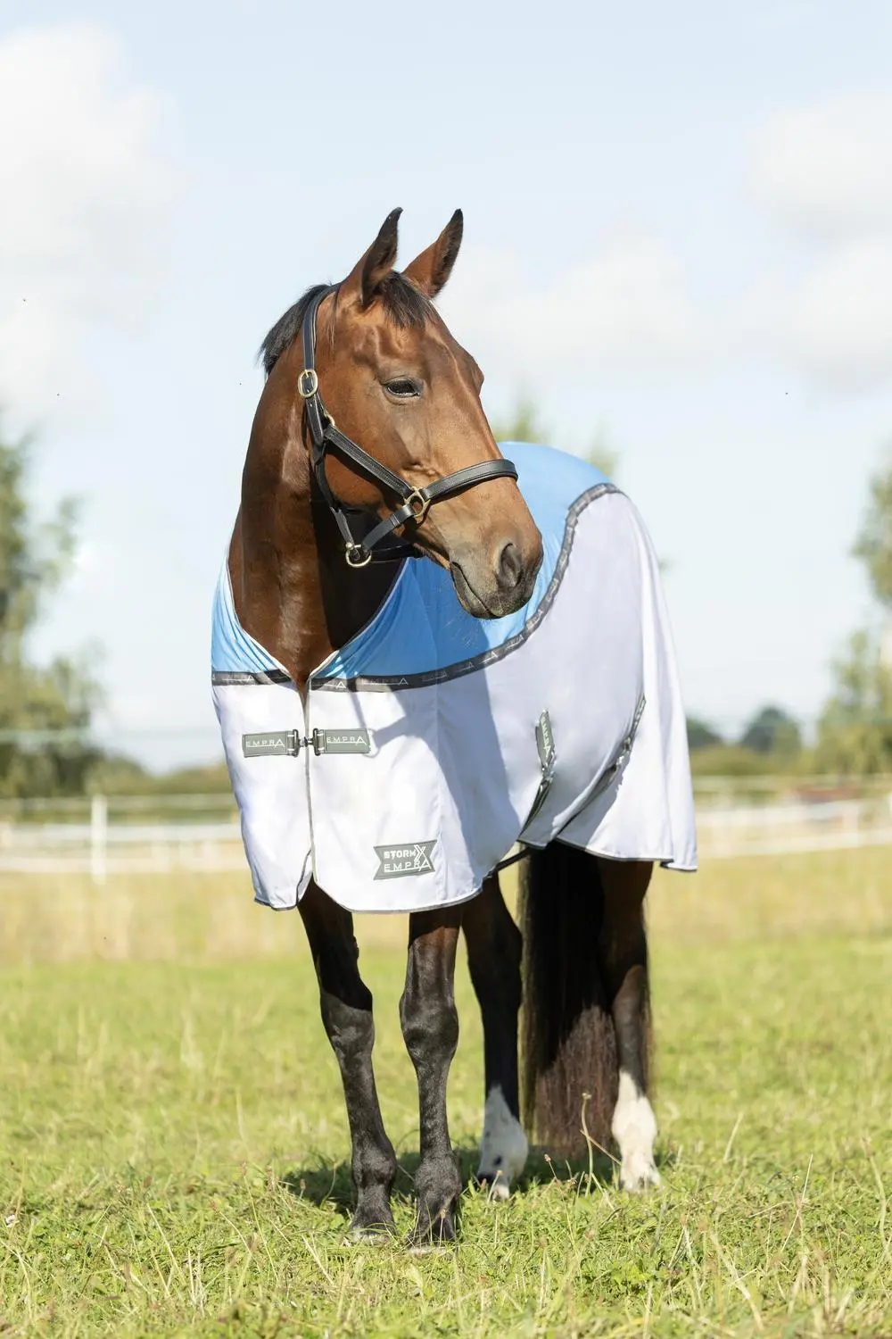 StormX Empra MeshX Flow Cooler Rug - Image 2