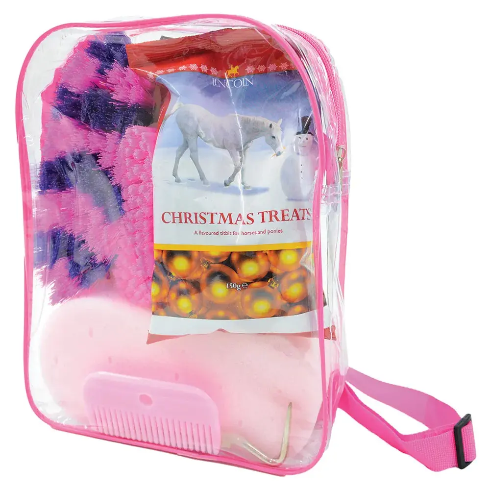 Lincoln Treat Bag - Image 4