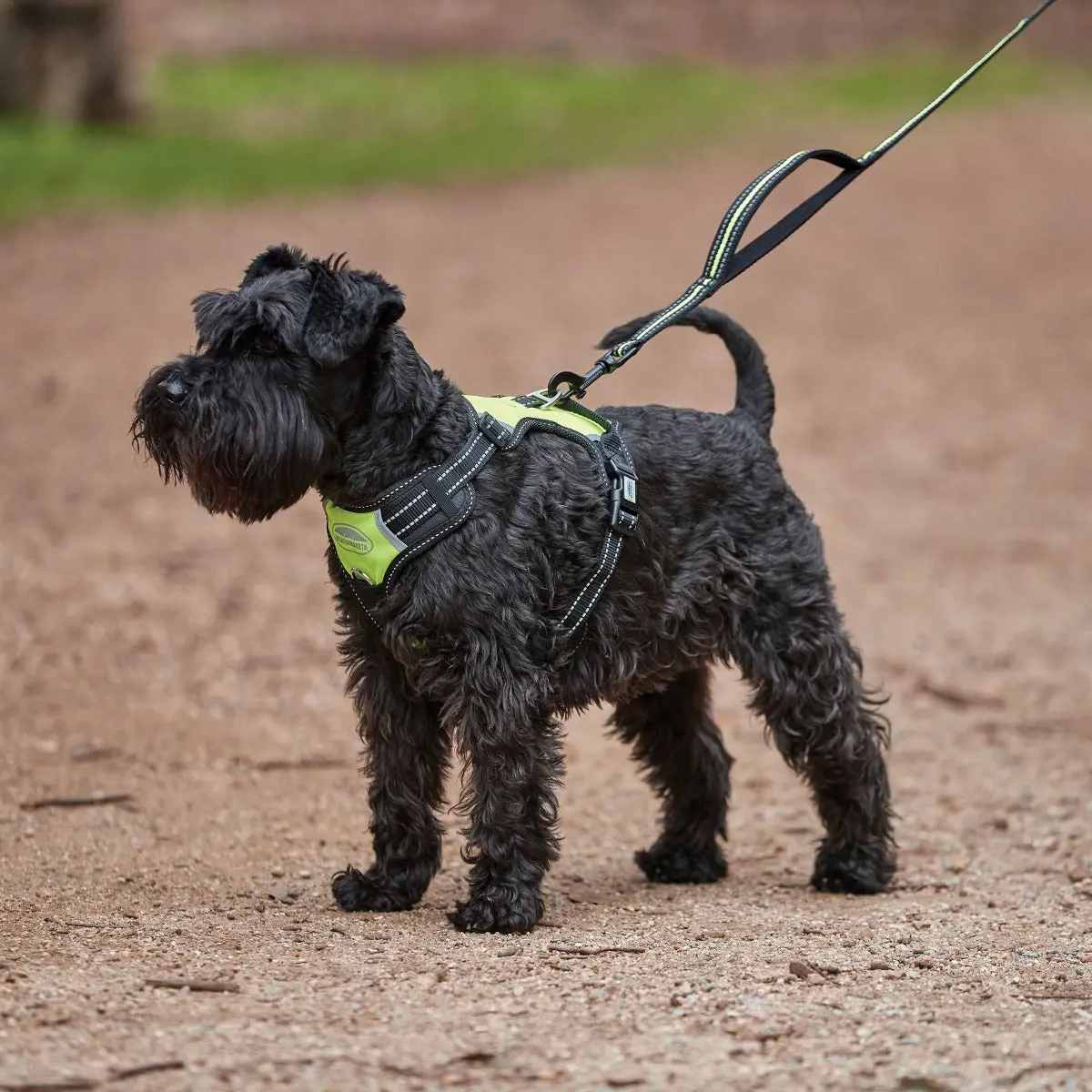 Weatherbeeta Anti Pull/Travel Dog Harness - Image 3