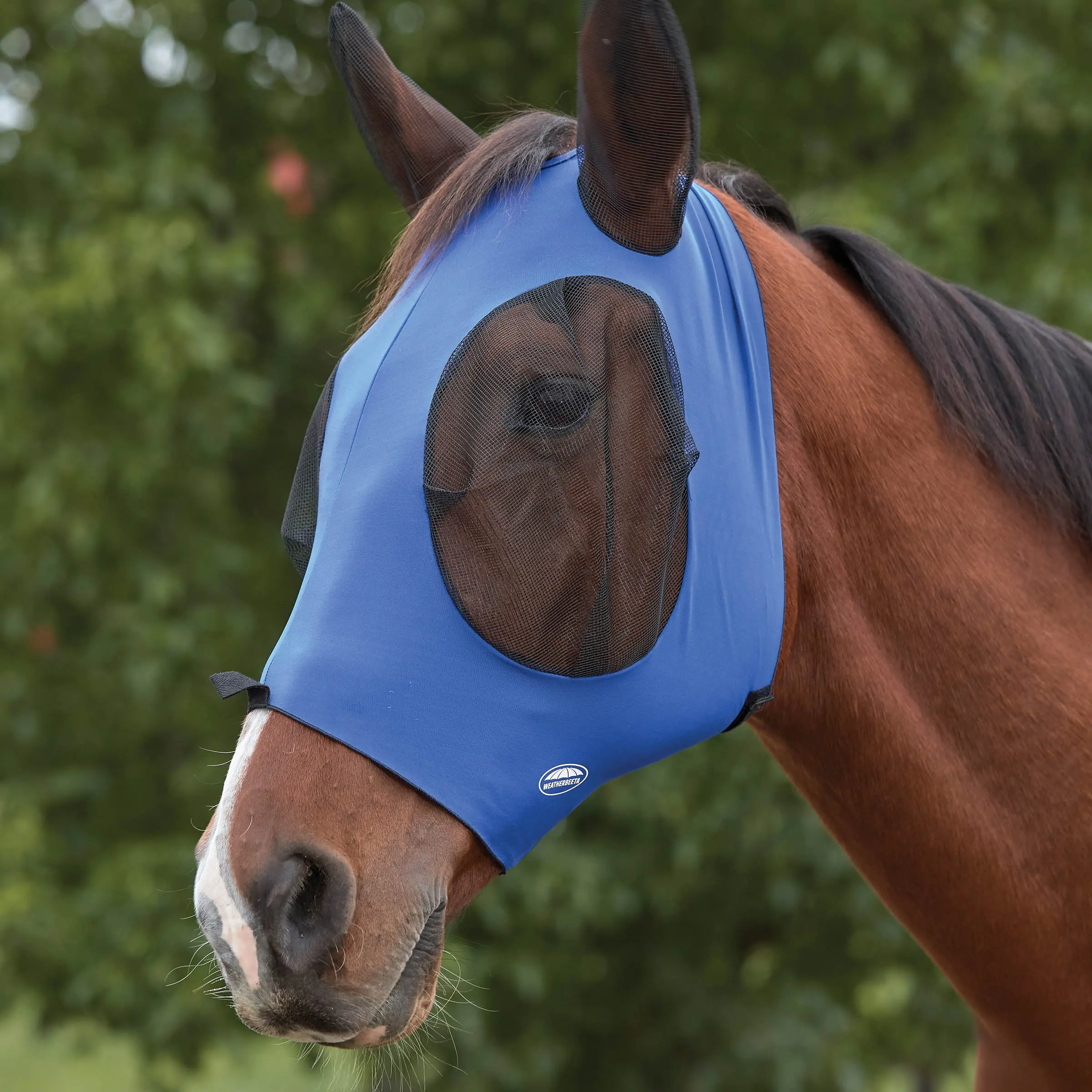 Weatherbeeta Black/Black Deluxe Stretch Bug Eye Saver With Ears - Image 10