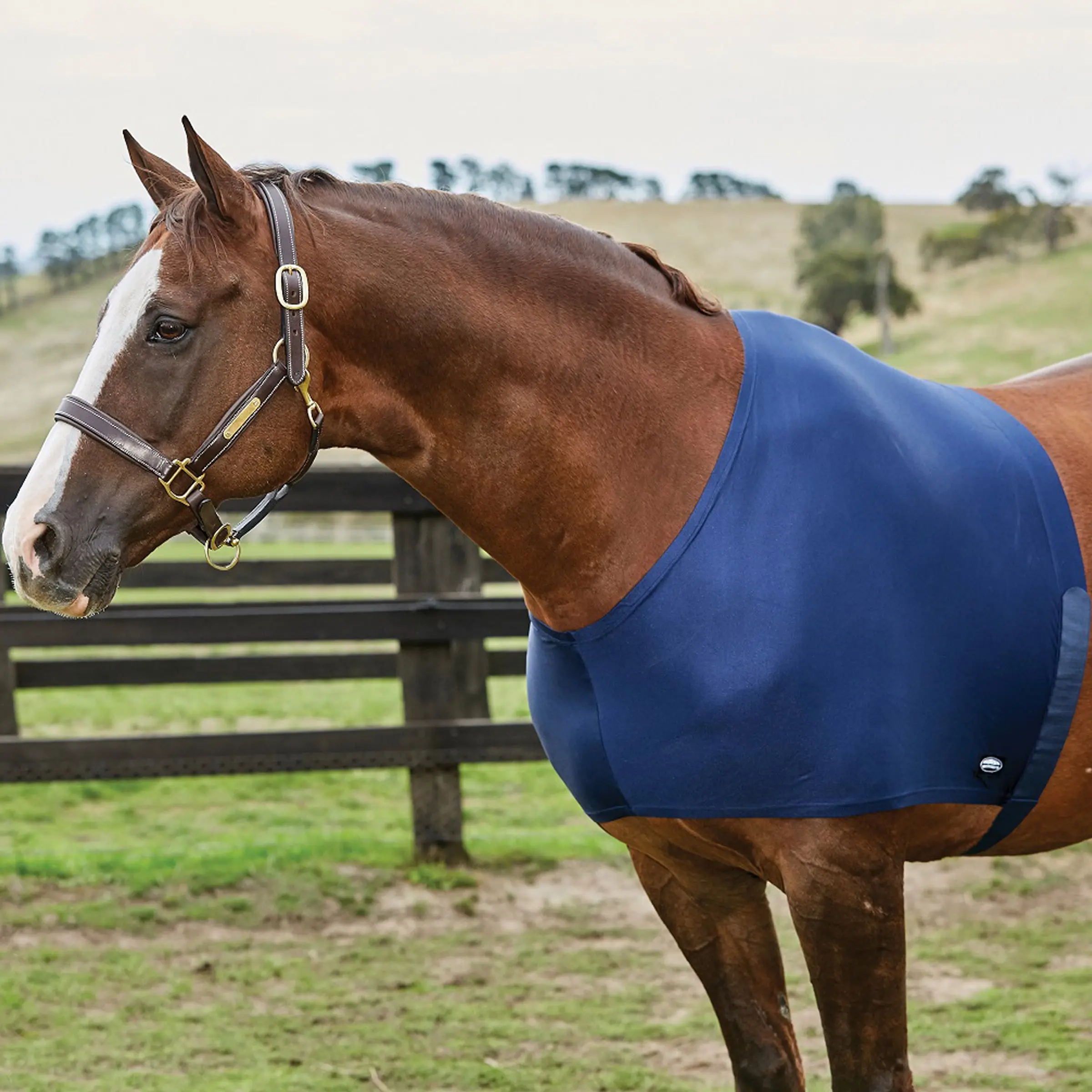Weatherbeeta Black Stretch Shoulder Guard - Image 3