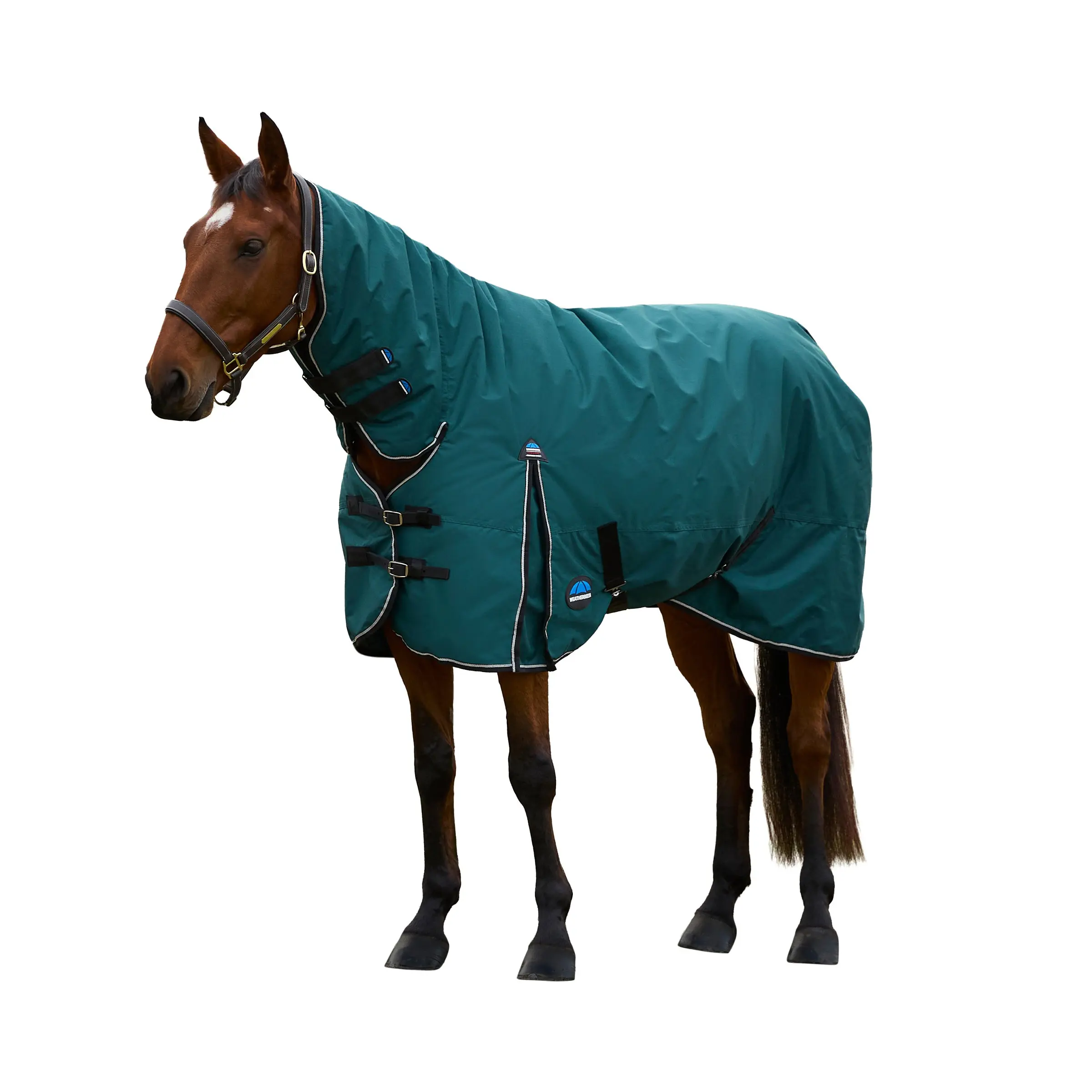 Weatherbeeta Comfitec Classic Turnout Combo 220G - Image 2