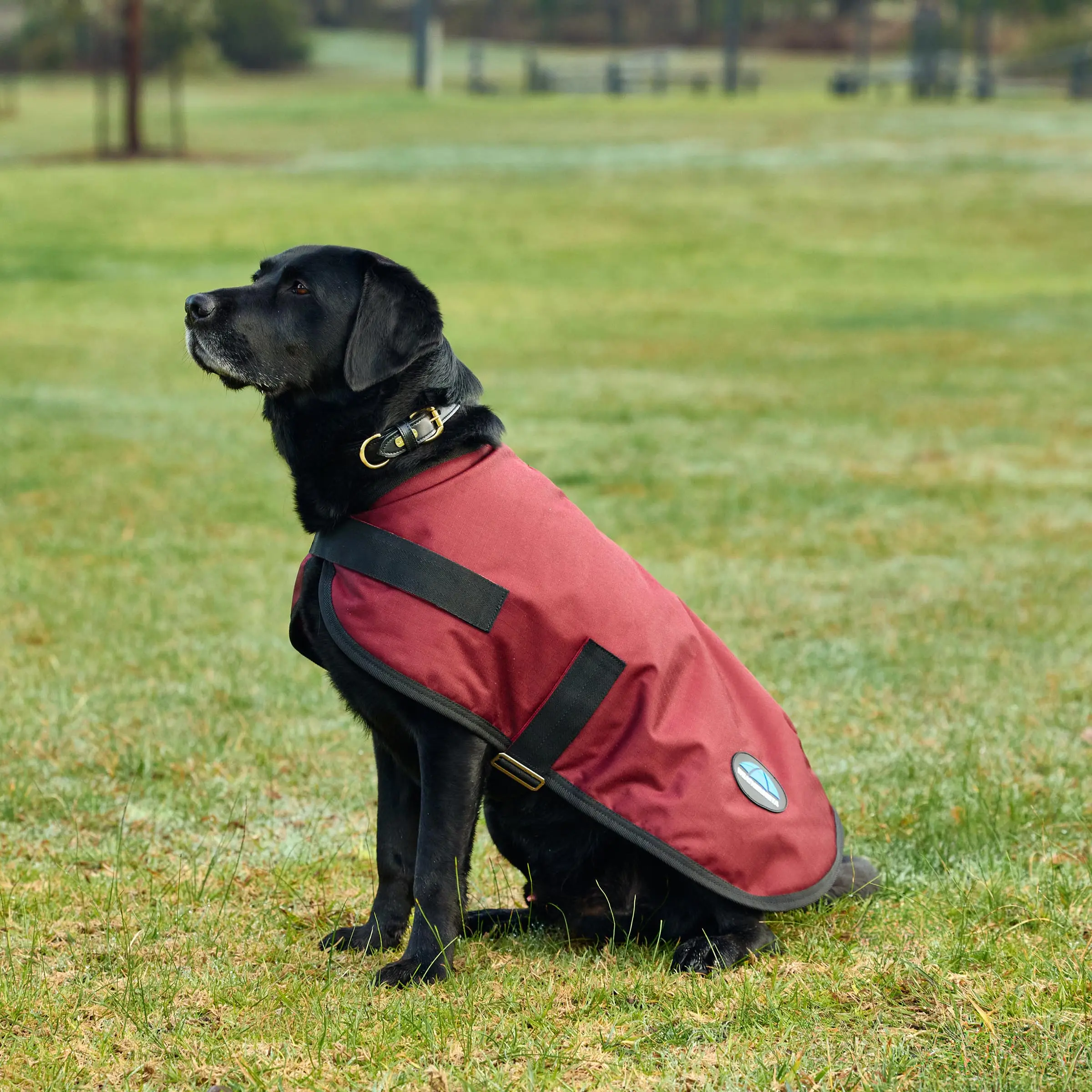 Weatherbeeta Comfitec Classic Waterproof Dog Coat Burgundy - Image 3