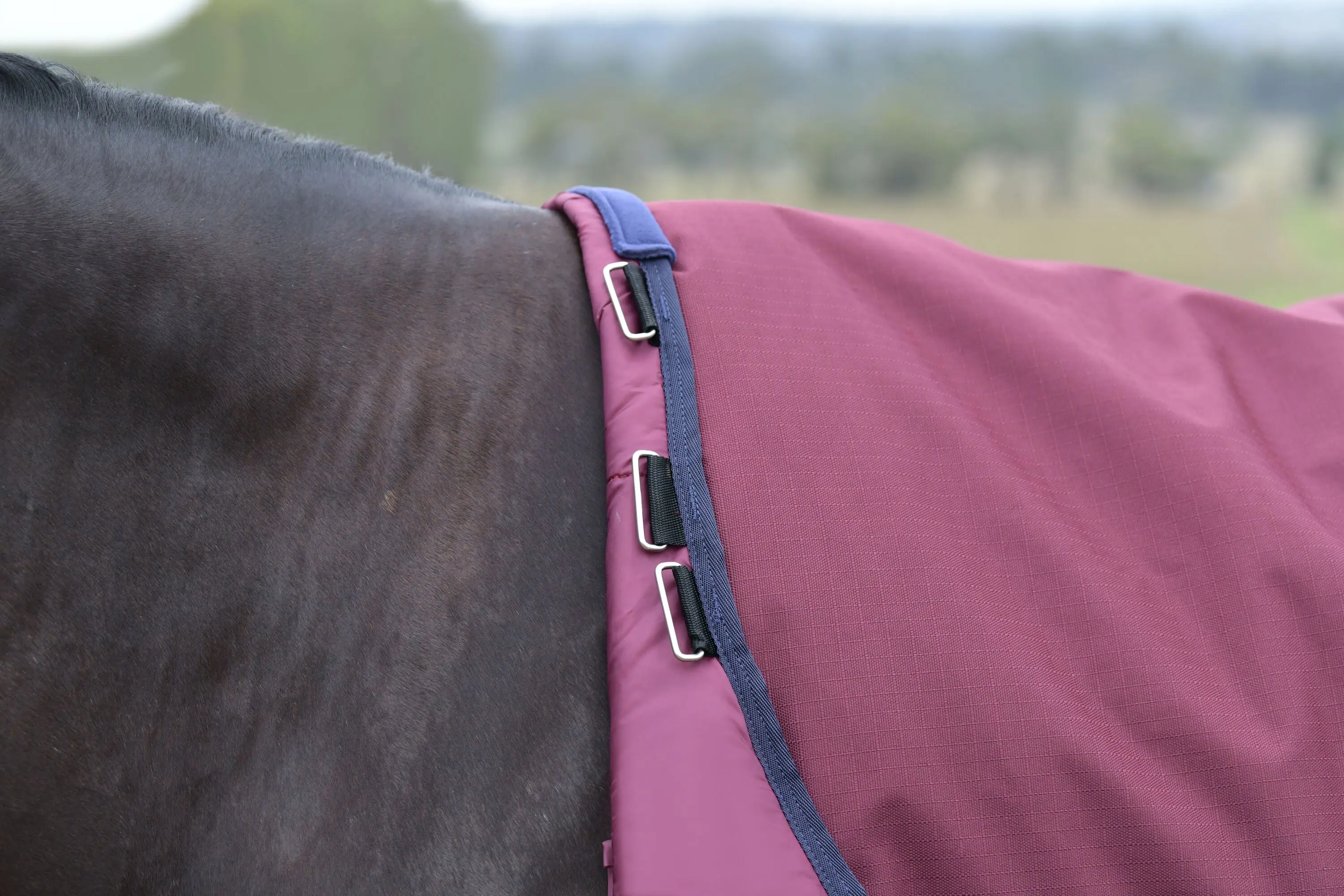 Weatherbeeta Comfitec Essential Turnout 0G Burgundy/ Navy - Image 5