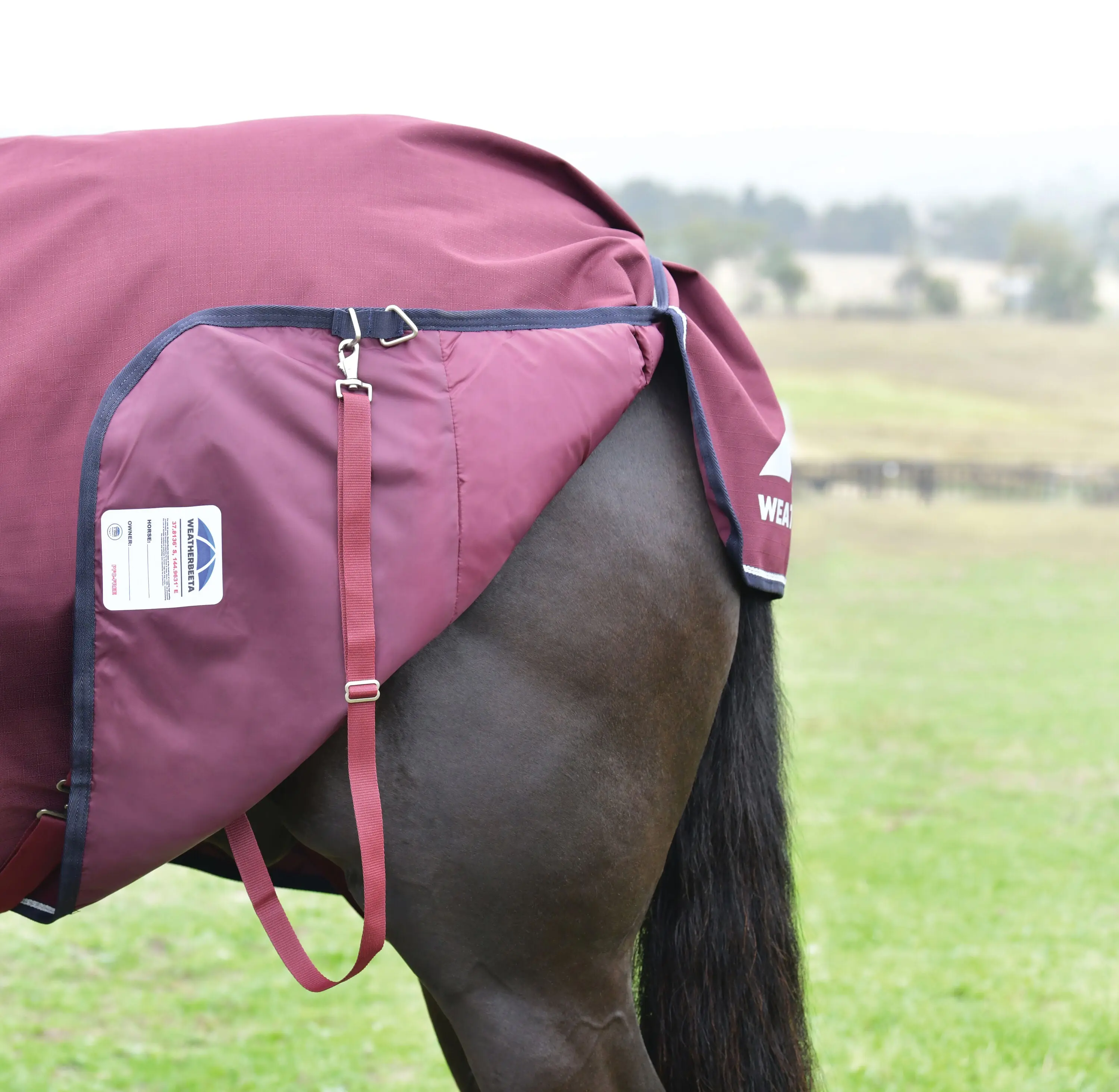 Weatherbeeta Comfitec Essential Turnout 50G Burgundy/ Navy - Image 4