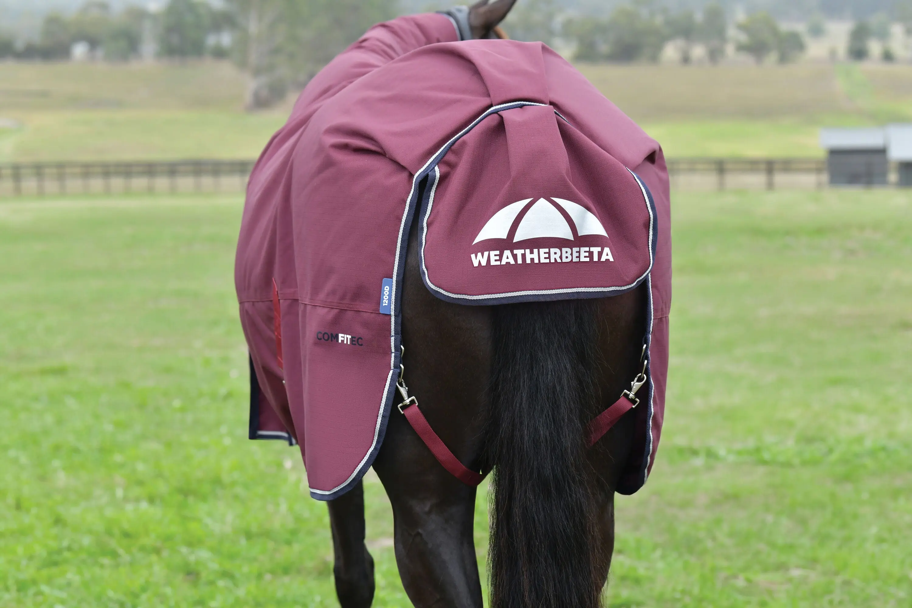 Weatherbeeta Comfitec Essential Turnout 50G Burgundy/ Navy - Image 7