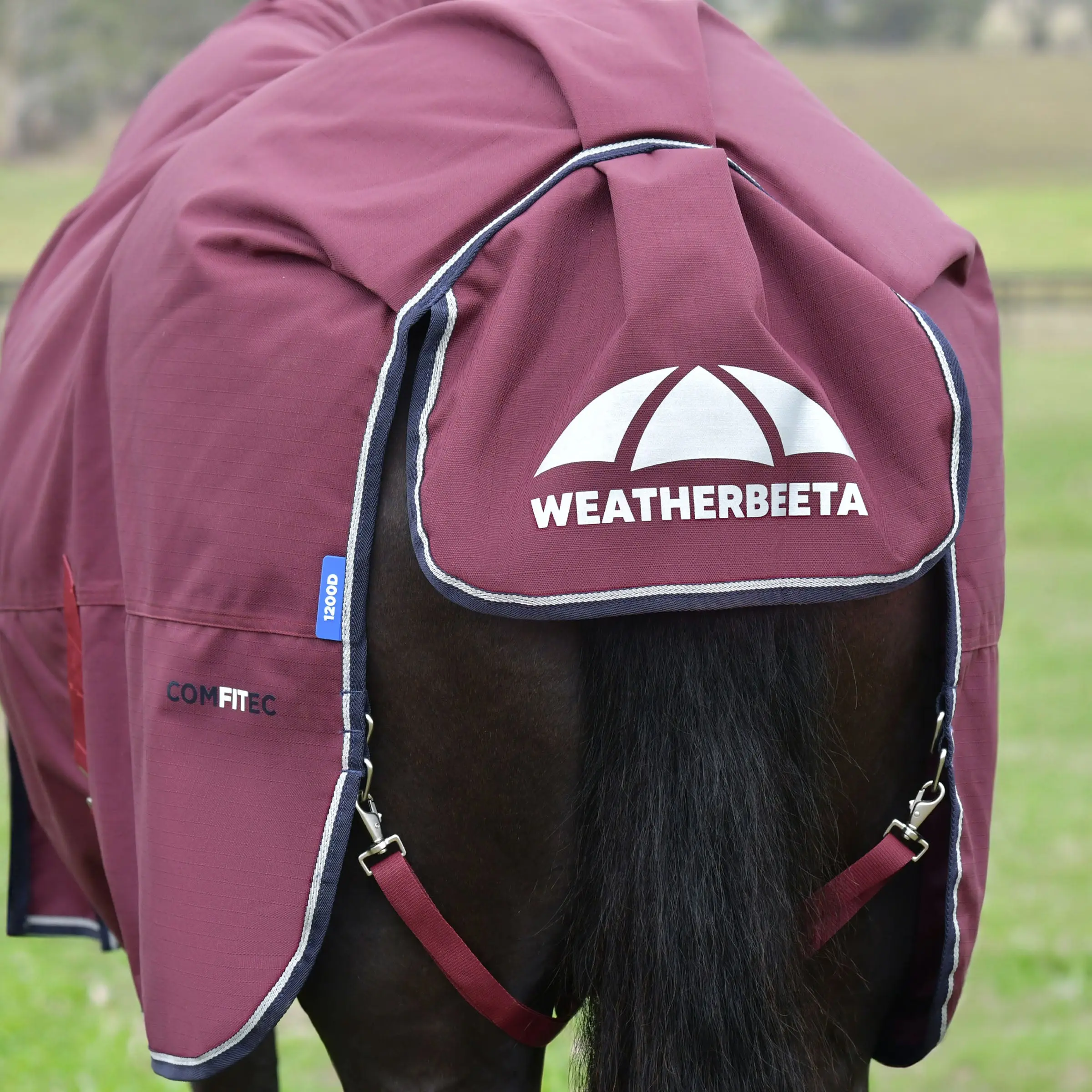 Weatherbeeta Comfitec Essential Turnout Combo 220G Burgundy/ Navy - Image 5