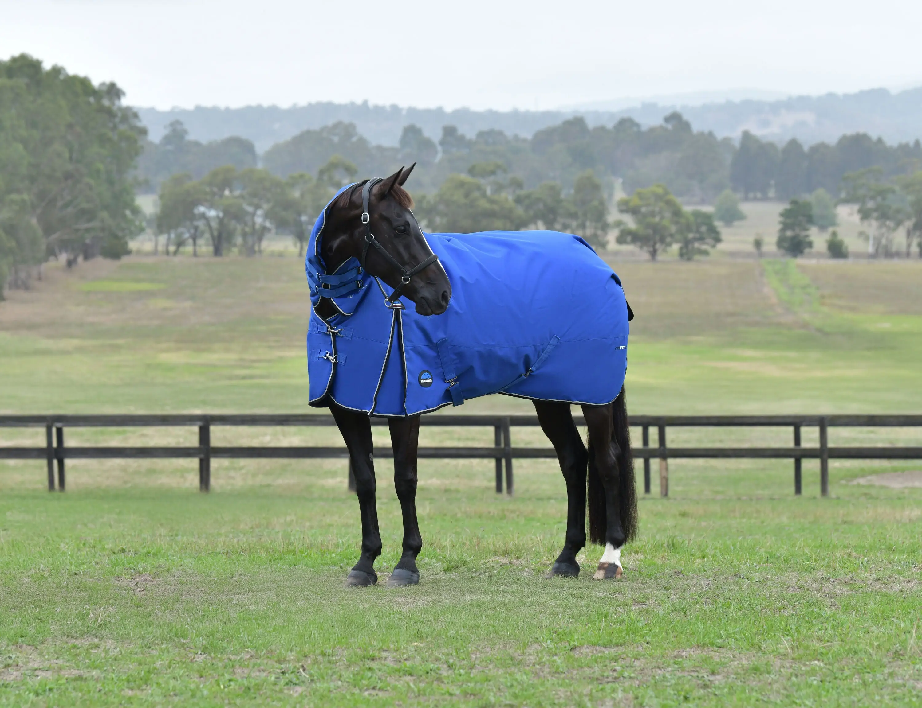 Weatherbeeta Comfitec Essential Turnout Combo 220G Cobalt/ Black - Image 2