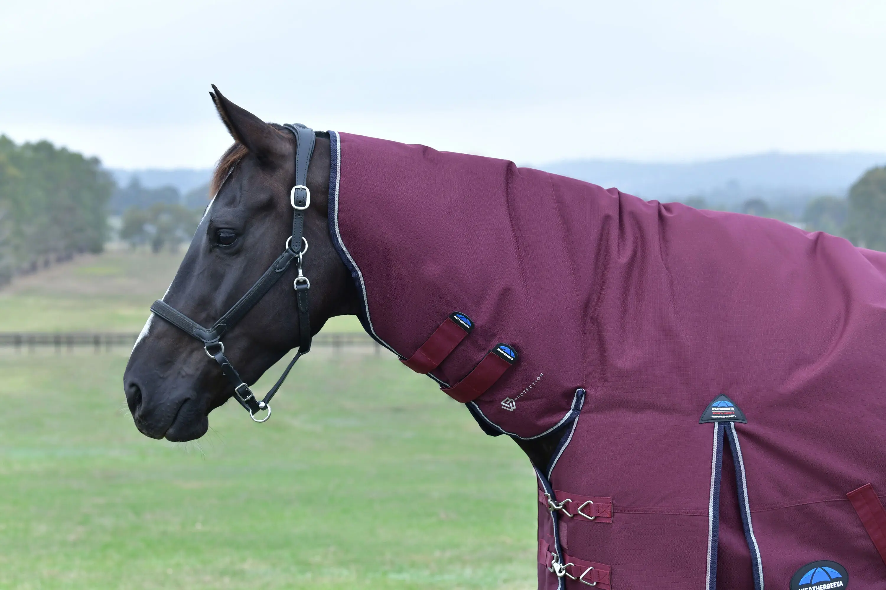 Weatherbeeta Comfitec Essential Turnout Combo 50G Burgundy/ Navy - Image 6