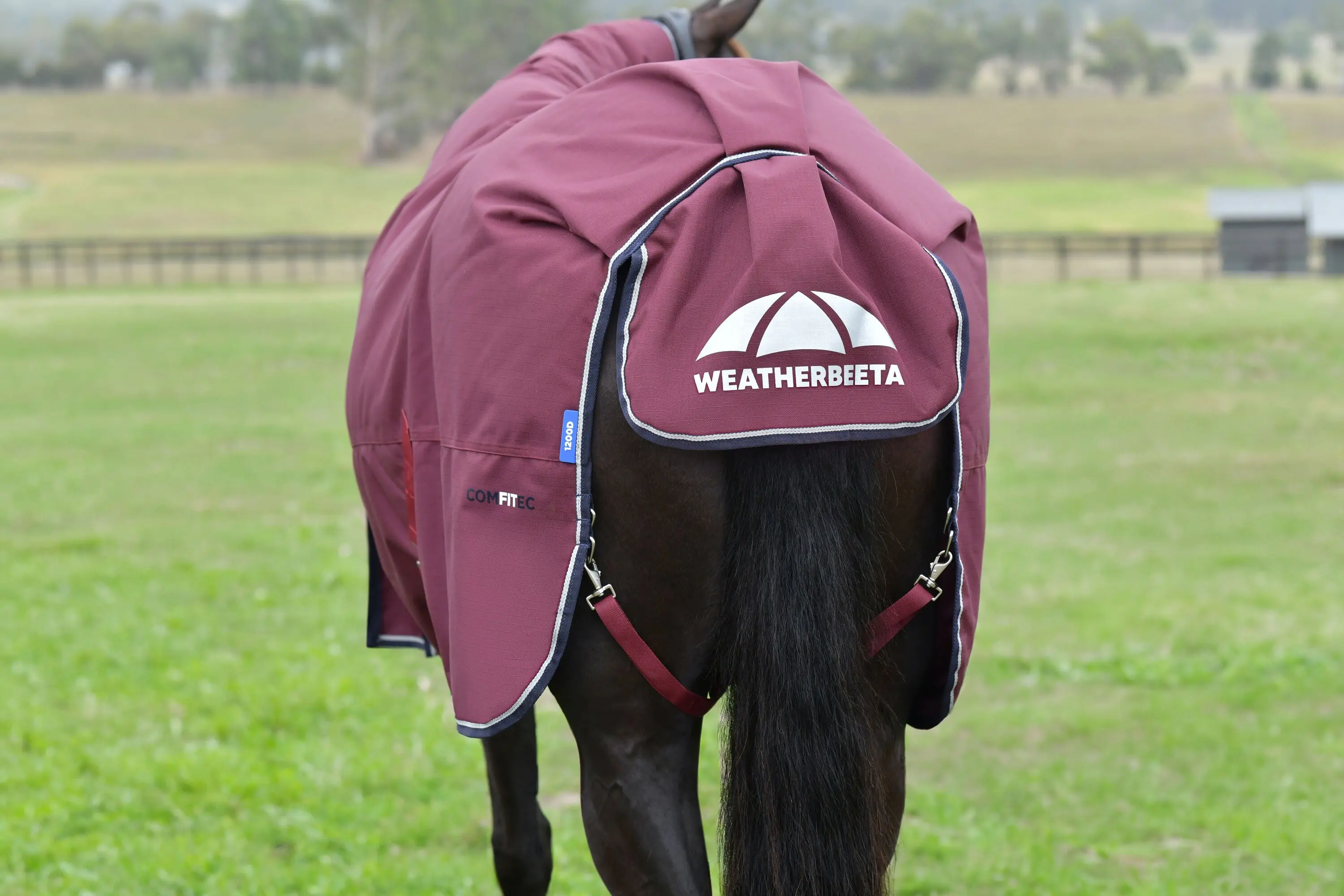 Weatherbeeta Comfitec Essential Turnout Combo 50G Burgundy/ Navy - Image 7