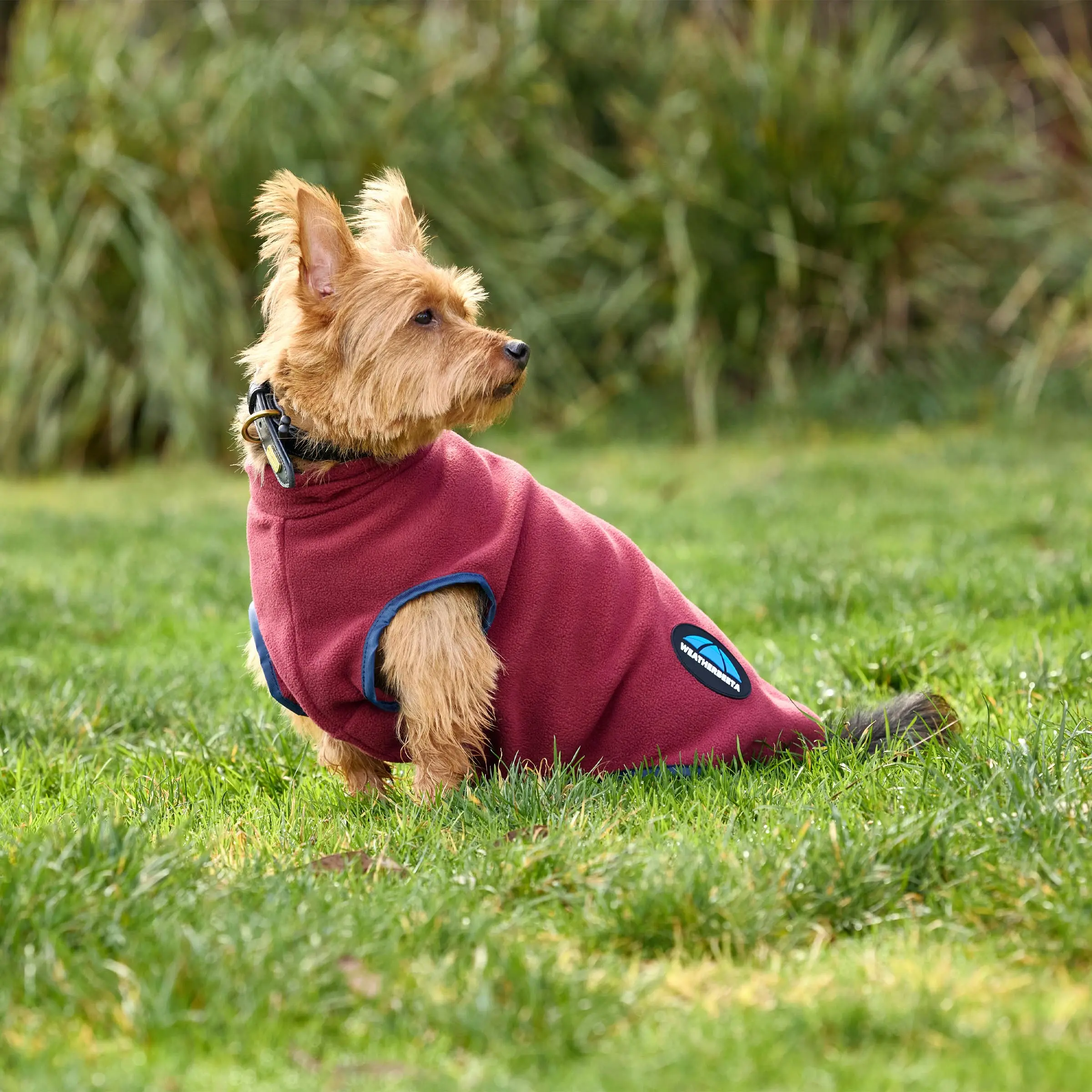 Weatherbeeta Comfitec Fleece Zip Dog Coat Burgundy/ Navy - Image 3