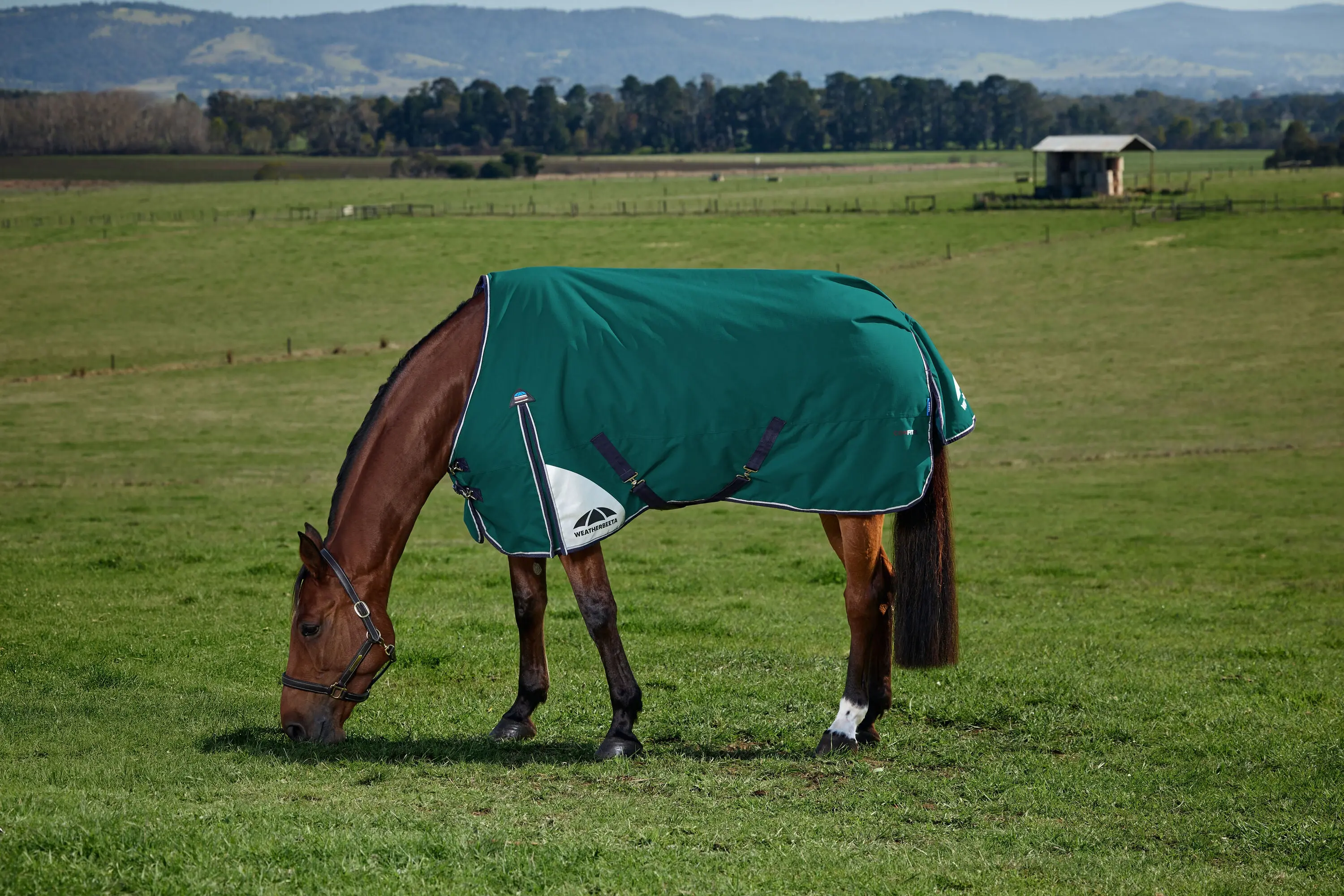 Weatherbeeta Comfitec Plus Dynamic Turnout 0G Forest Green/ Navy - Image 2