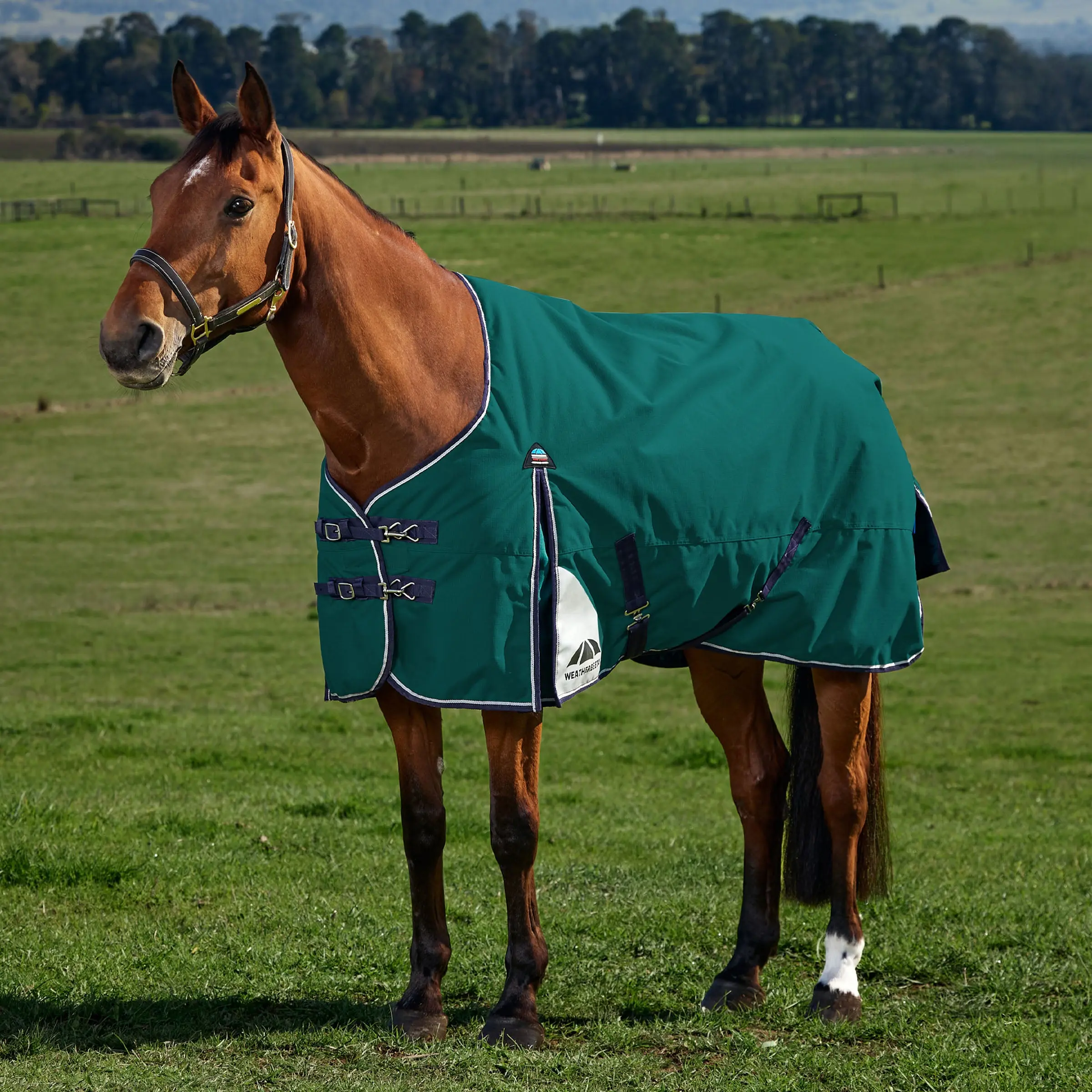 Weatherbeeta Comfitec Plus Dynamic Turnout 100G Forest Green/ Navy - Image 2