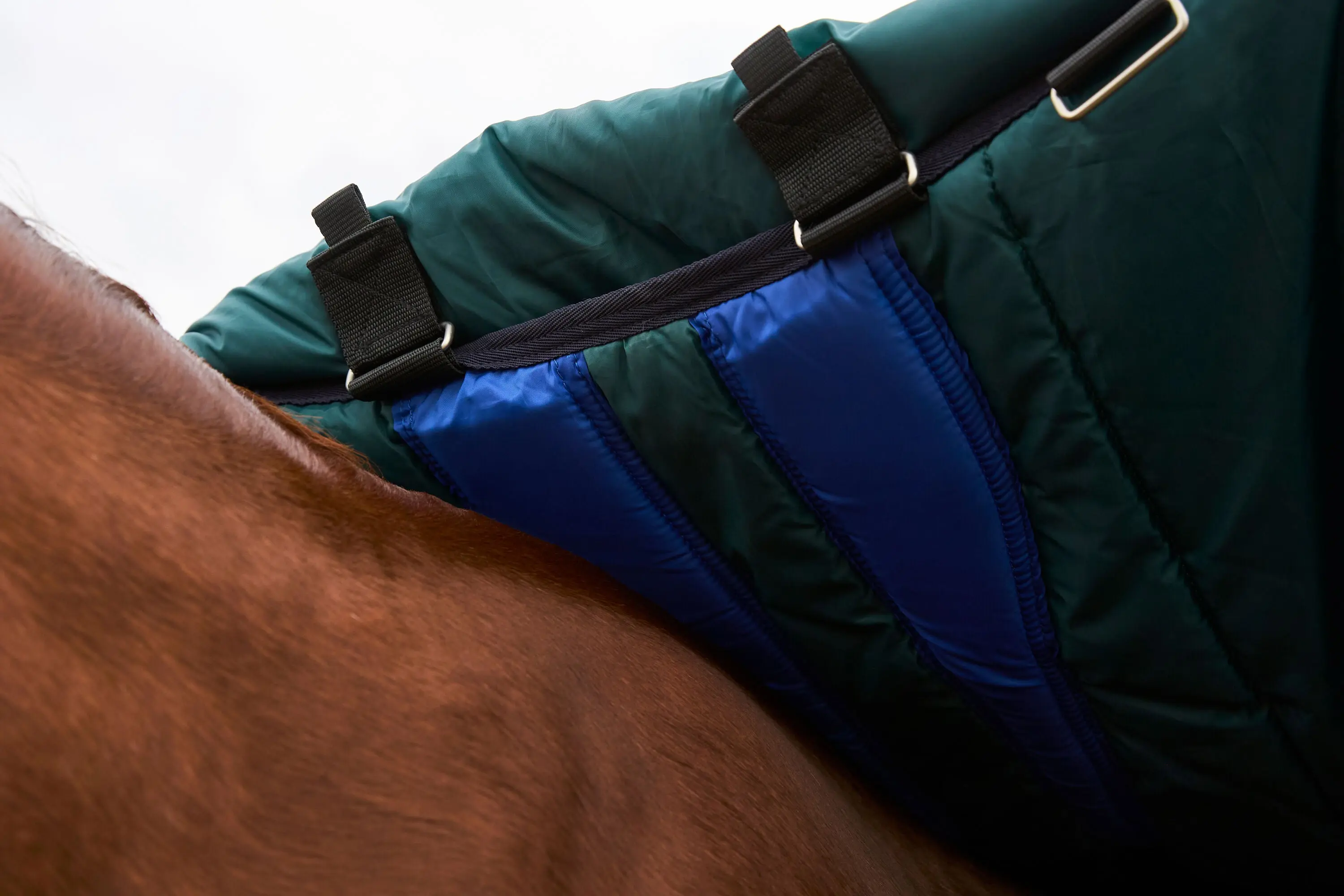 Weatherbeeta Comfitec Plus Dynamic Turnout Detach-A-Neck 0G Forest Green/ Navy - Image 9