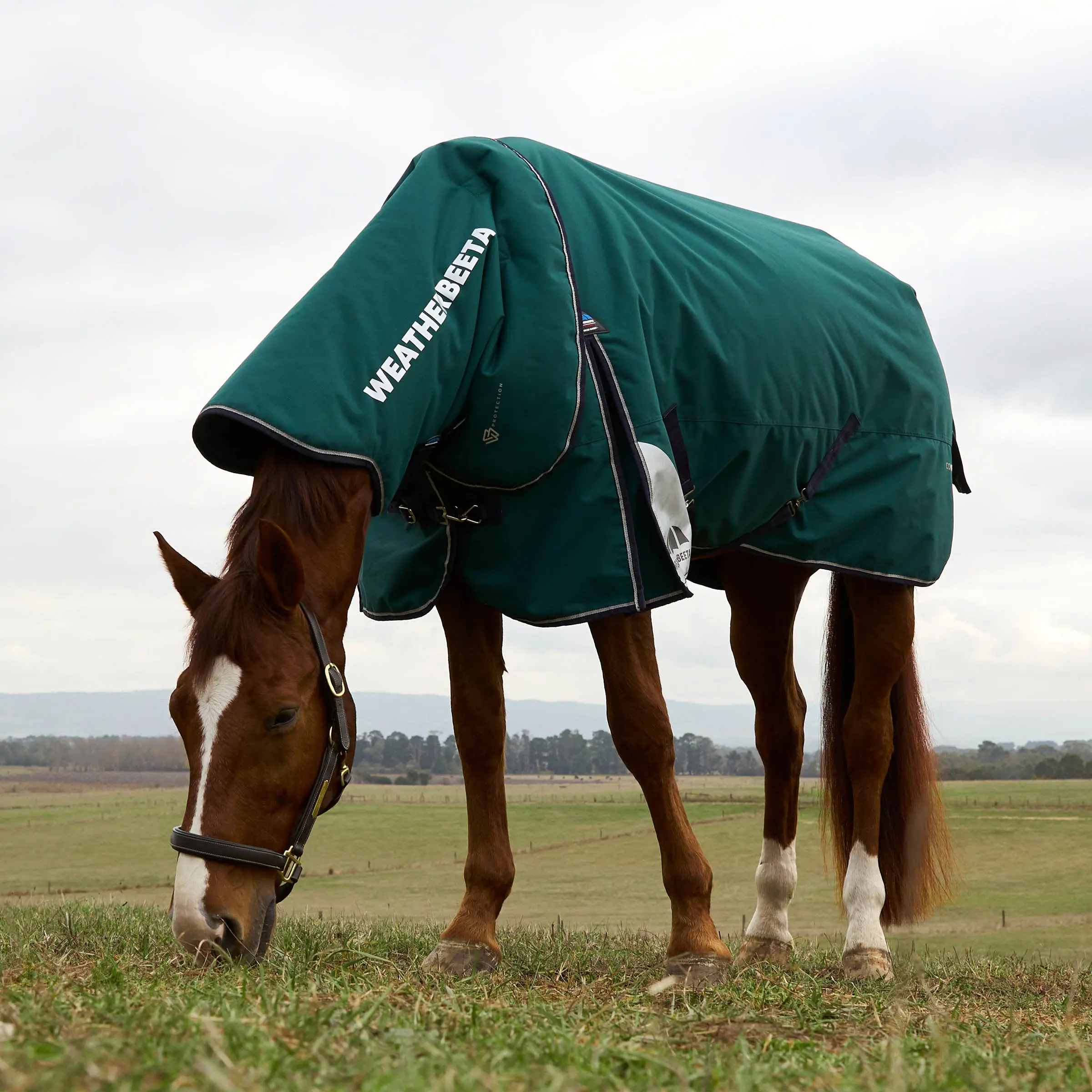 Weatherbeeta Comfitec Plus Dynamic Turnout Detach-A-Neck 220G - Image 2