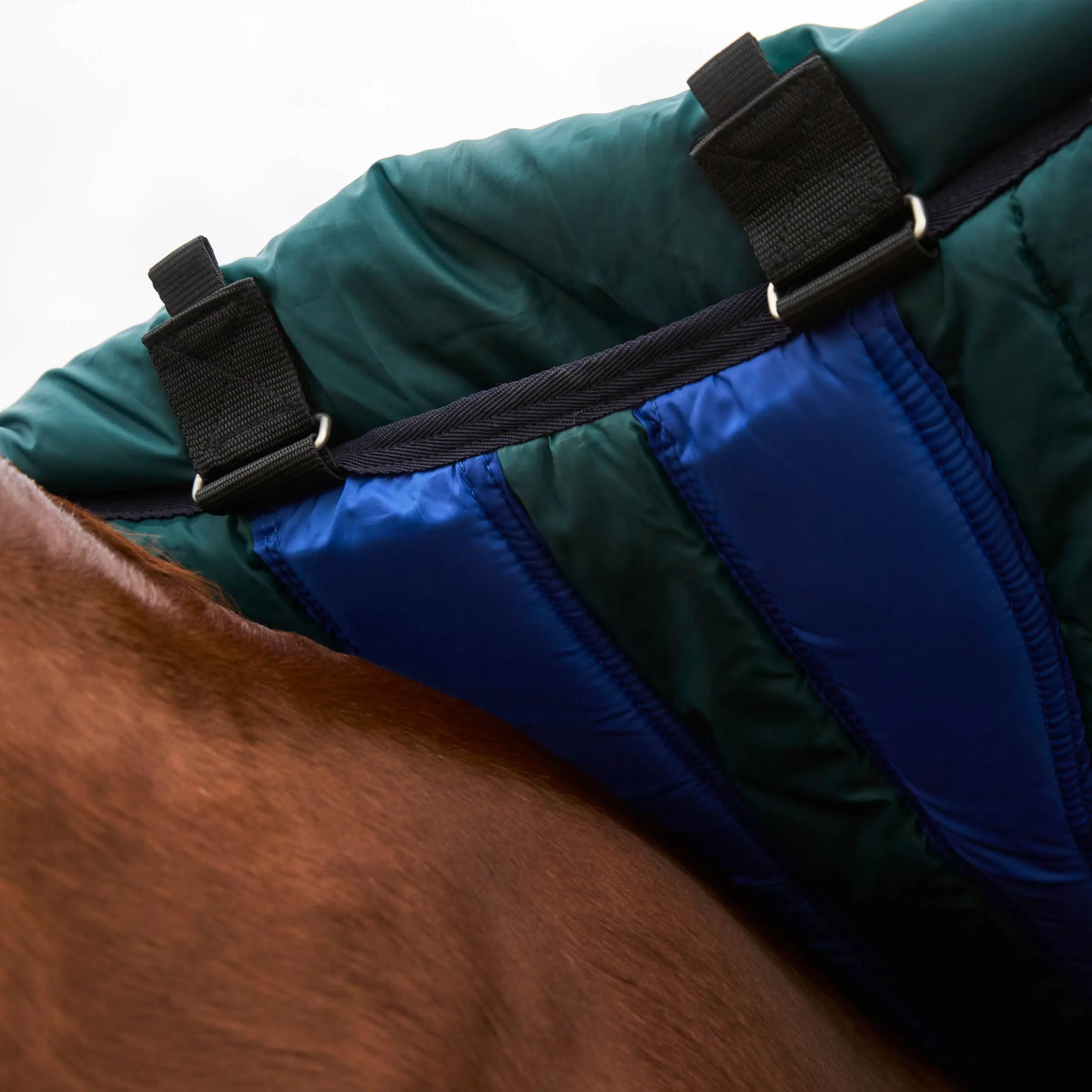 Weatherbeeta Comfitec Plus Dynamic Turnout Detach-A-Neck 220G - Image 5