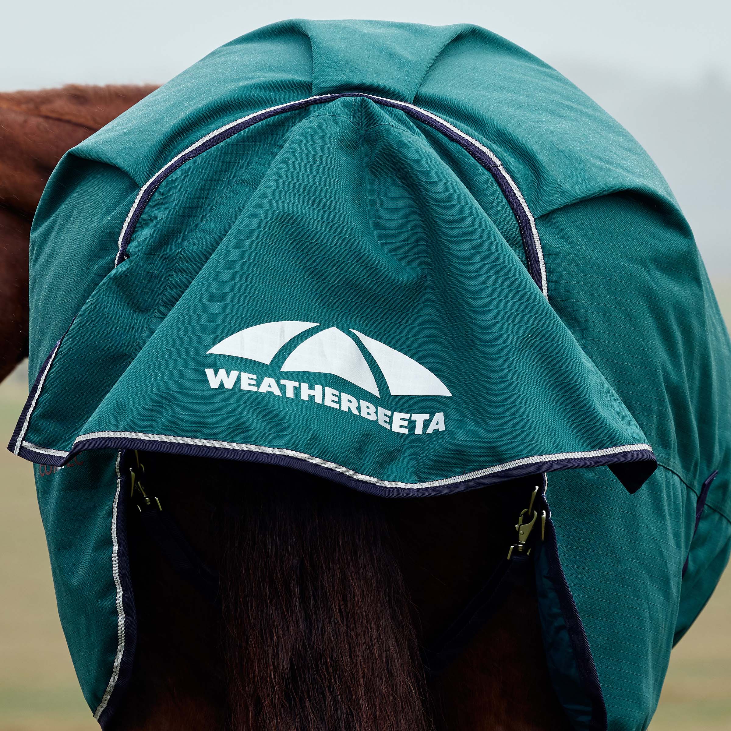 Weatherbeeta Comfitec Plus Dynamic Turnout High Neck 220G - Image 4