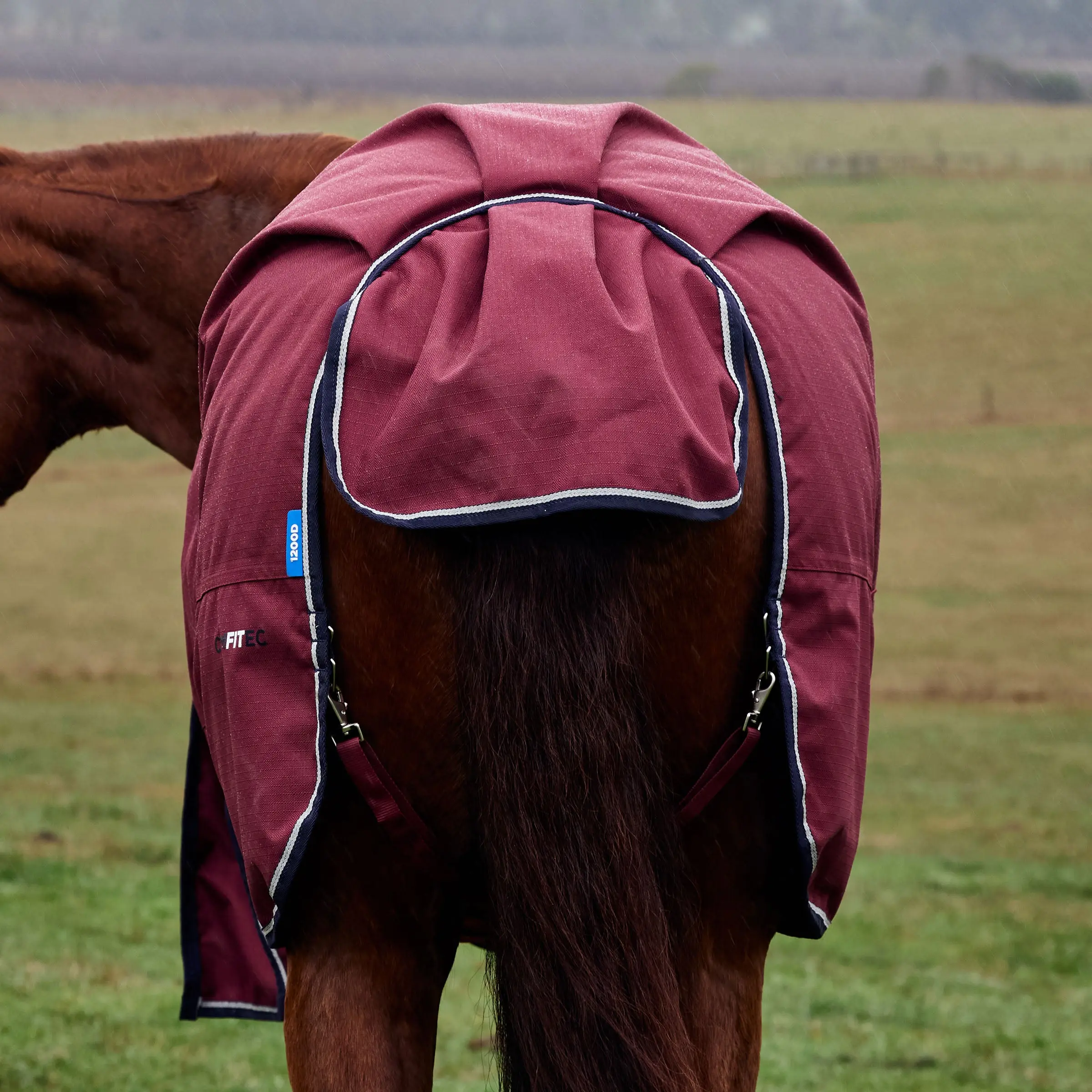 Weatherbeeta Comfitec Prelim Turnout 220G Burgundy/ Navy - Image 3