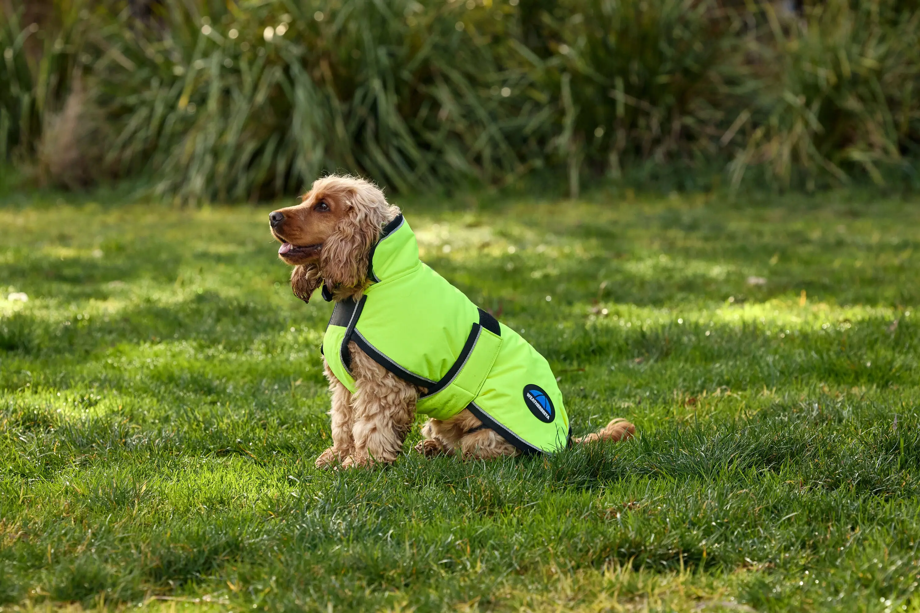 Weatherbeeta Comfitec Reflective 300D Deluxe Showerproof Dog Coat Orange - Image 14