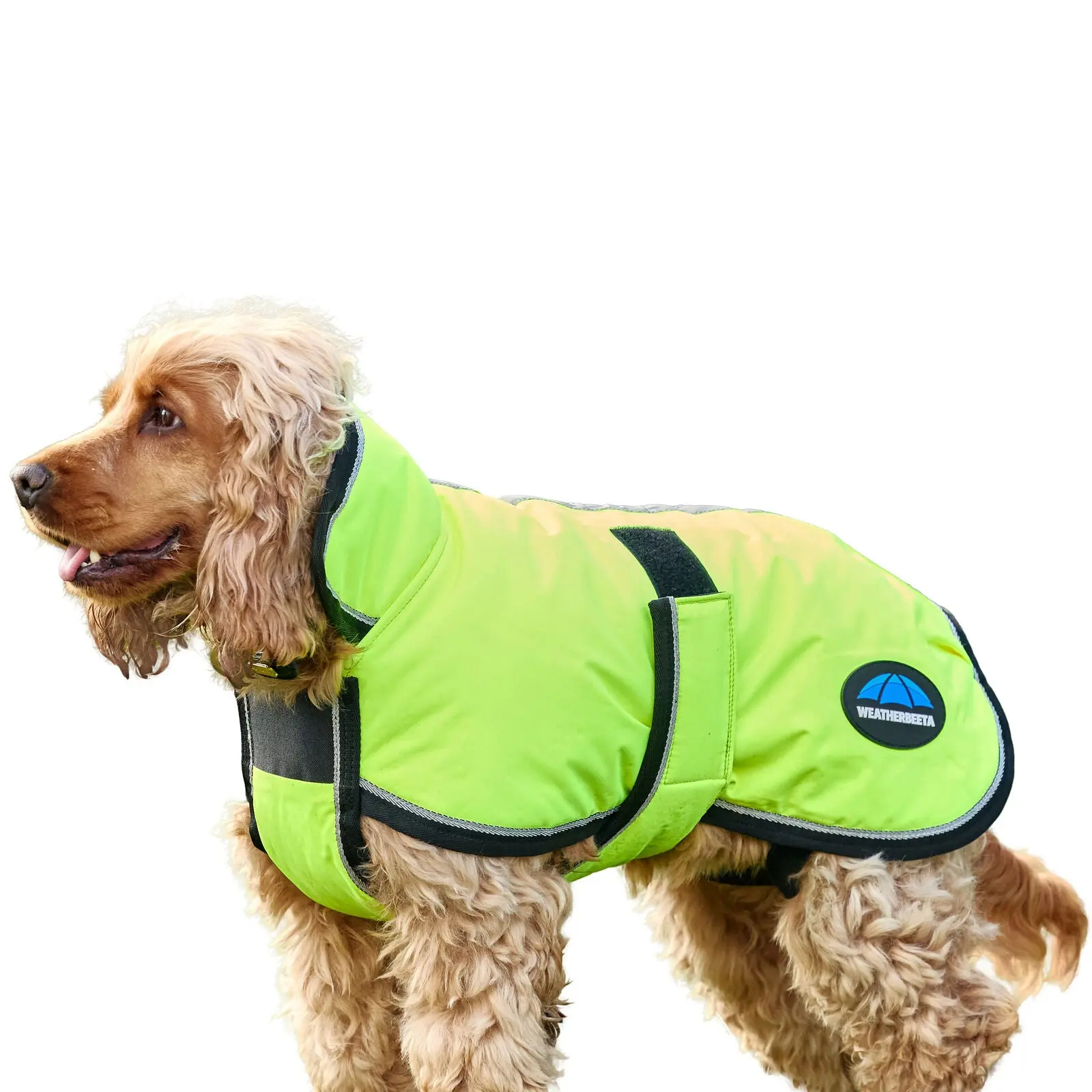 Weatherbeeta Comfitec Reflective 300D Deluxe Showerproof Dog Coat Orange - Image 15