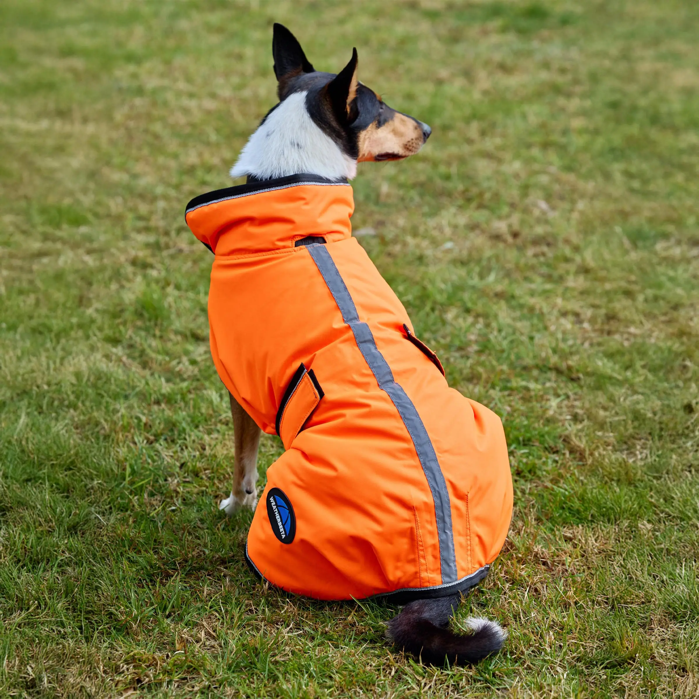 Weatherbeeta Comfitec Reflective 300D Deluxe Showerproof Dog Coat Orange - Image 3