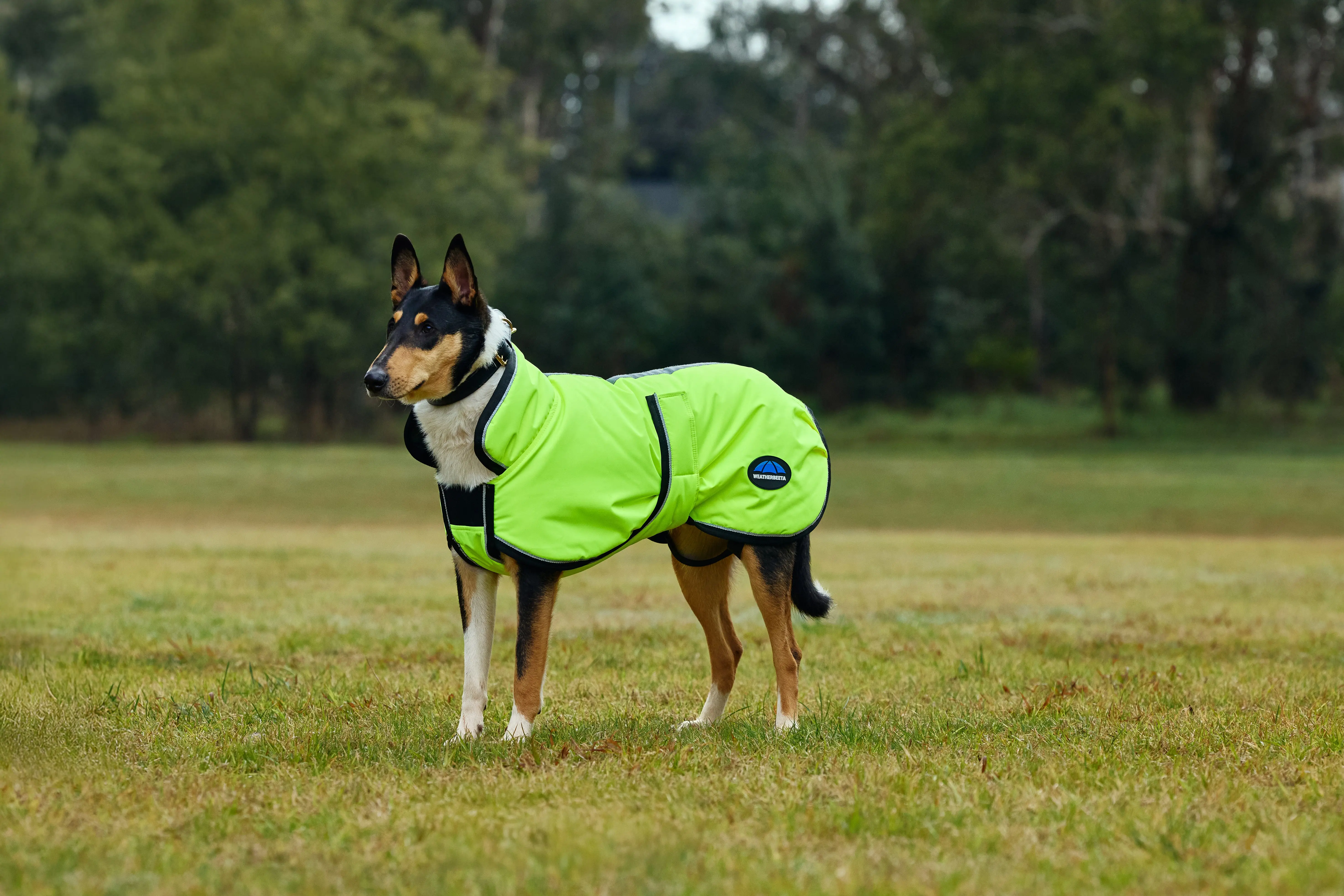 Weatherbeeta Comfitec Reflective 300D Deluxe Showerproof Dog Coat Yellow - Image 4