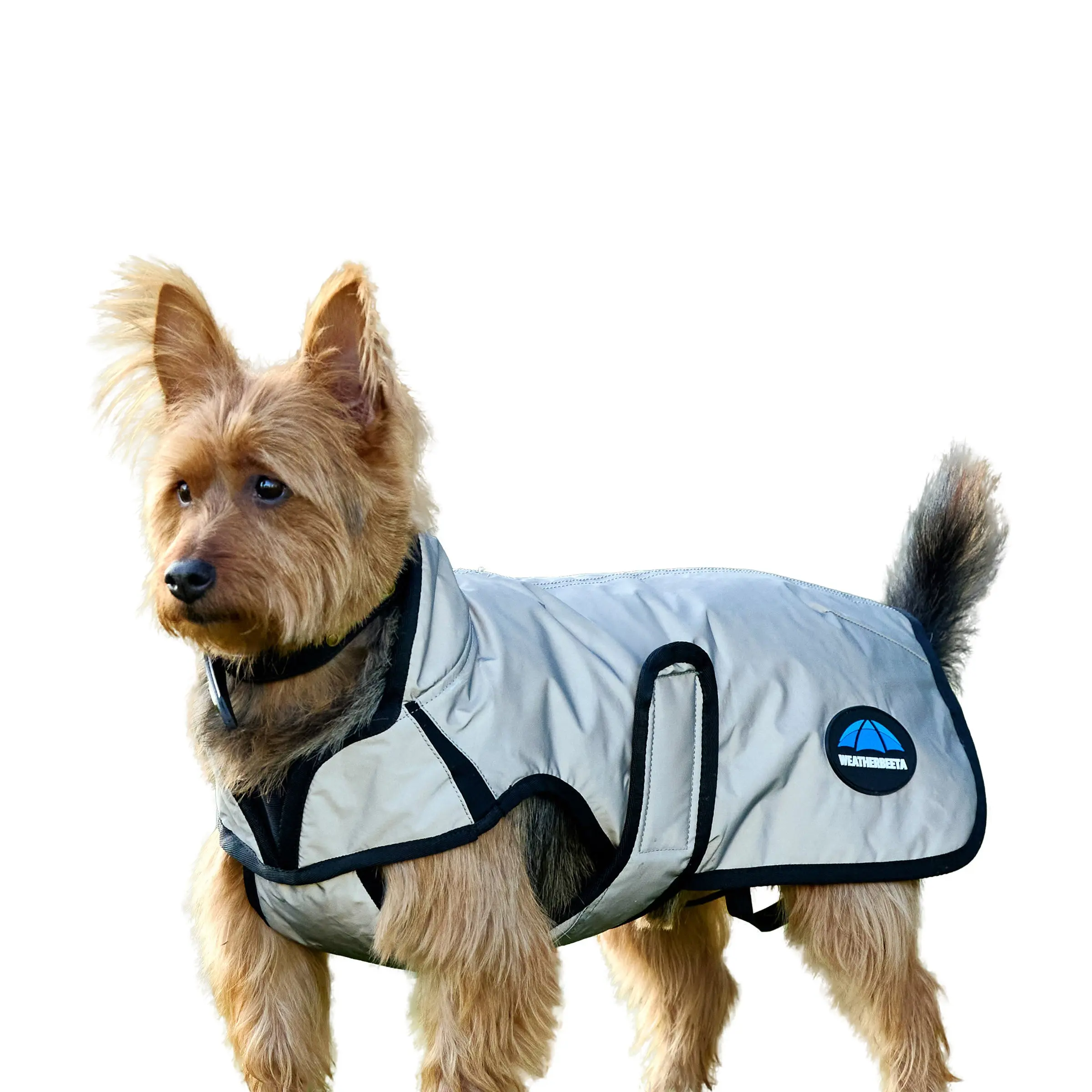 Weatherbeeta Comfitec Reflective Showerproof Dog Coat - Image 5