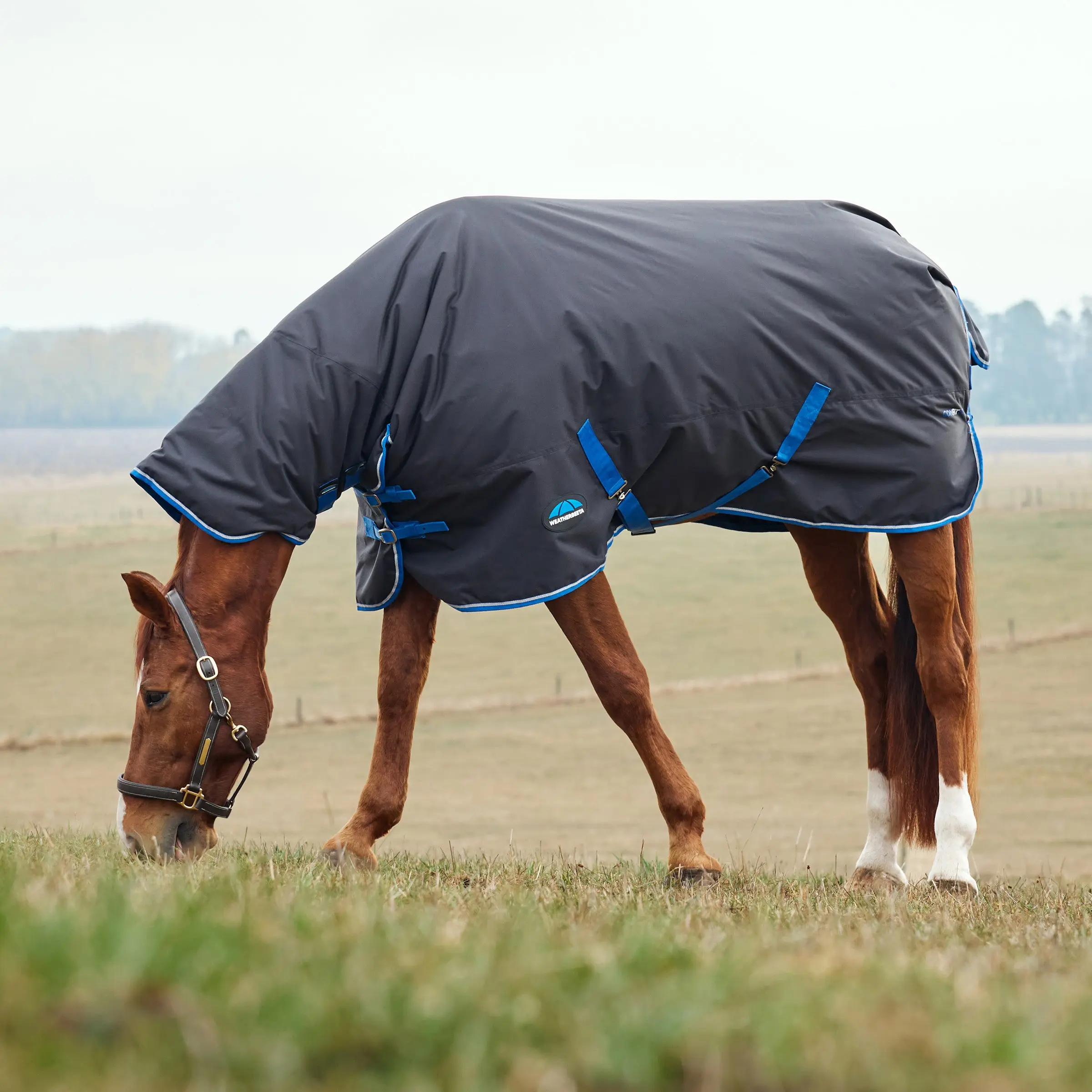 Weatherbeeta Comfitec Tyro Turnout Combo Neck 220G Black/ Cobalt - Image 2