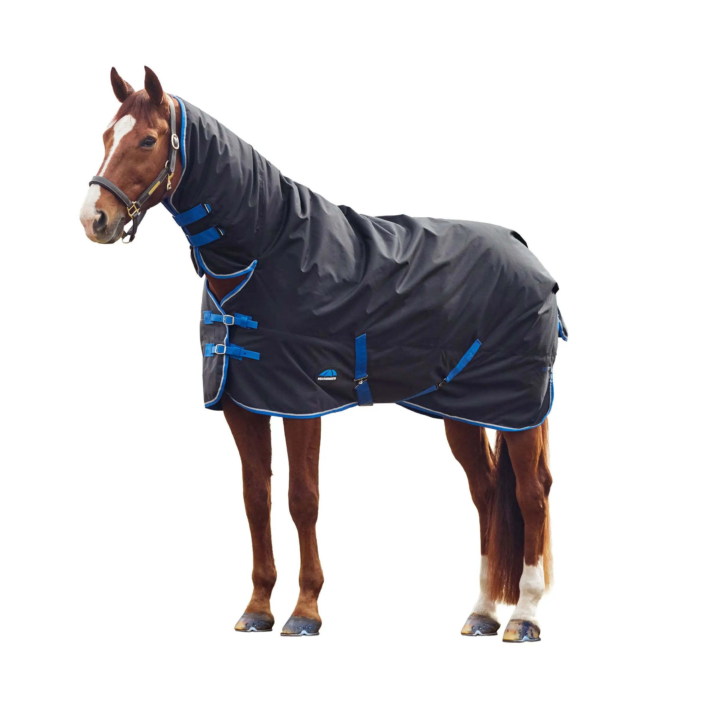 Weatherbeeta Comfitec Tyro Turnout Combo Neck 220G Black/ Cobalt - Image 5