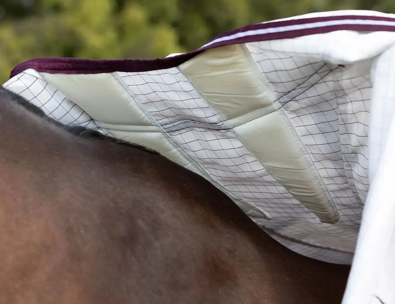WeatherBeeta Hybrid Seasons Combo Neck Rug - Image 8