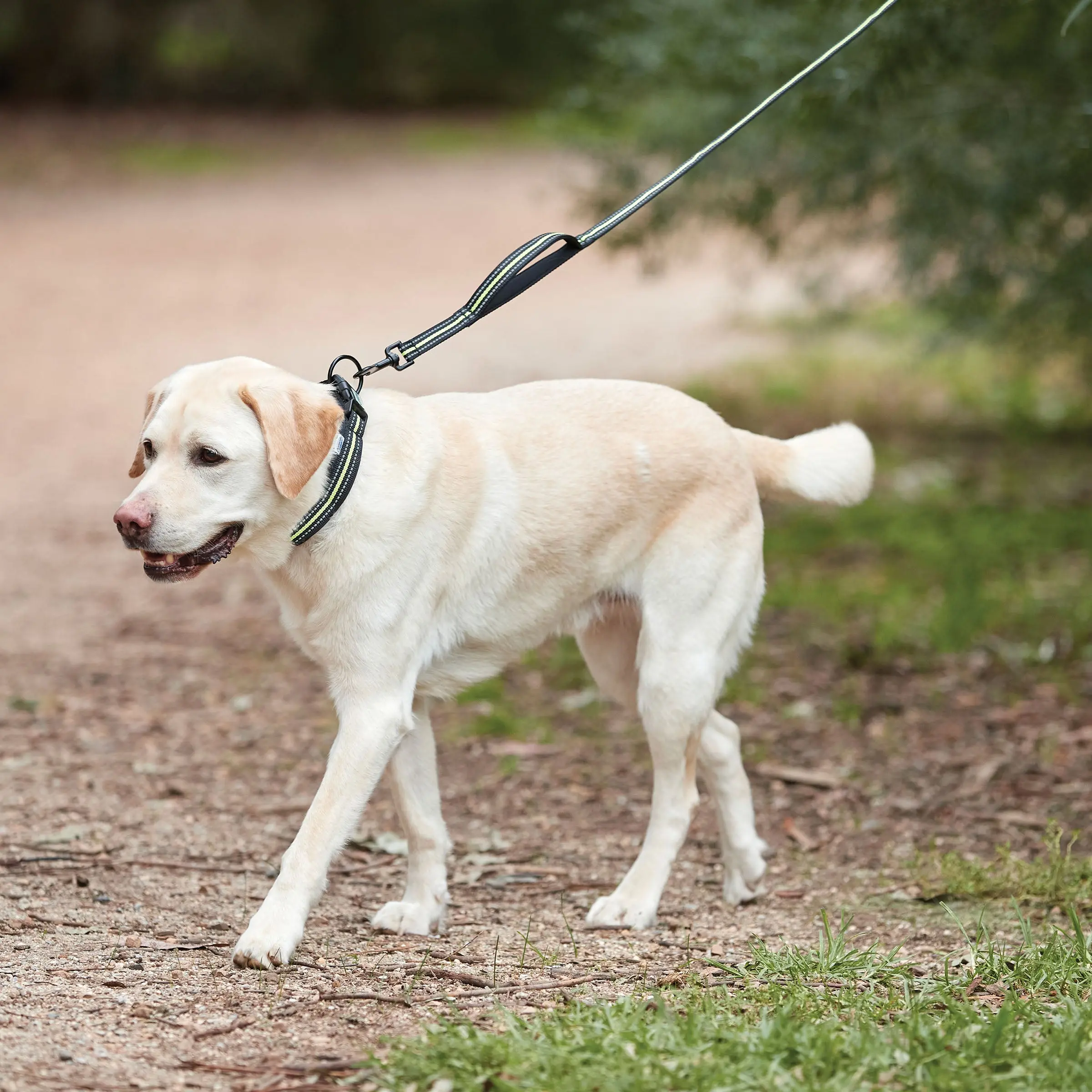Weatherbeeta Black / Pink Reflective Dog Lead - Image 7