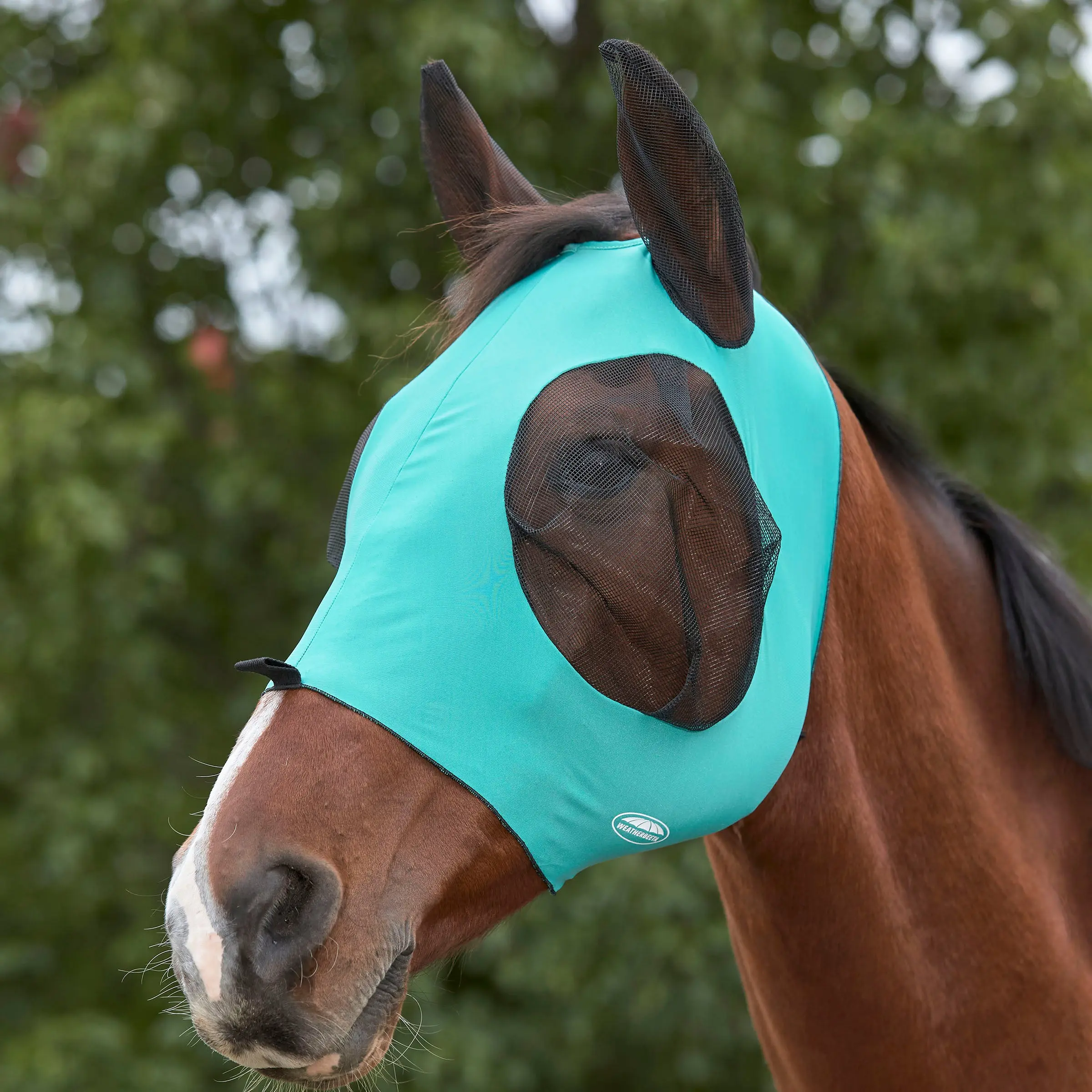 Weatherbeeta Royal Blue/Black Deluxe Stretch Bug Eye Saver With Ears - Image 13