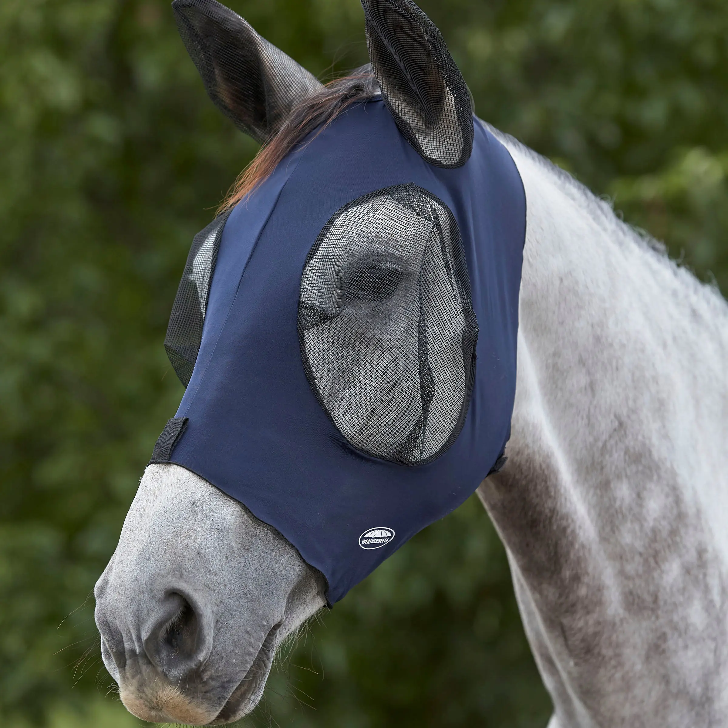 Weatherbeeta Royal Blue/Black Deluxe Stretch Bug Eye Saver With Ears - Image 8