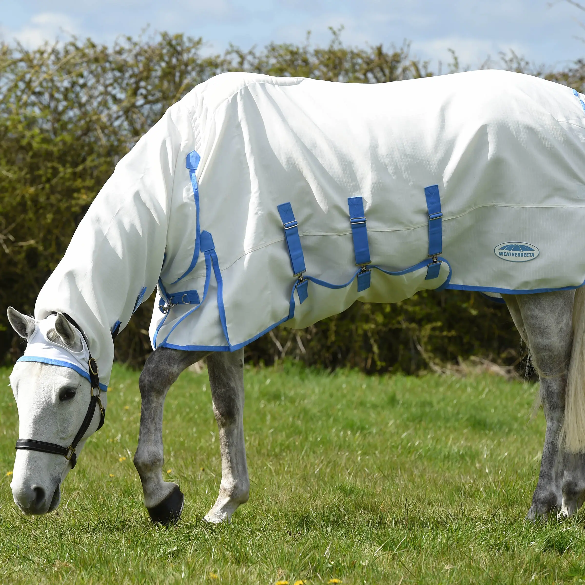 WeatherBeeta Sweet Itch Shield Combo Neck Fly Rug - Image 12