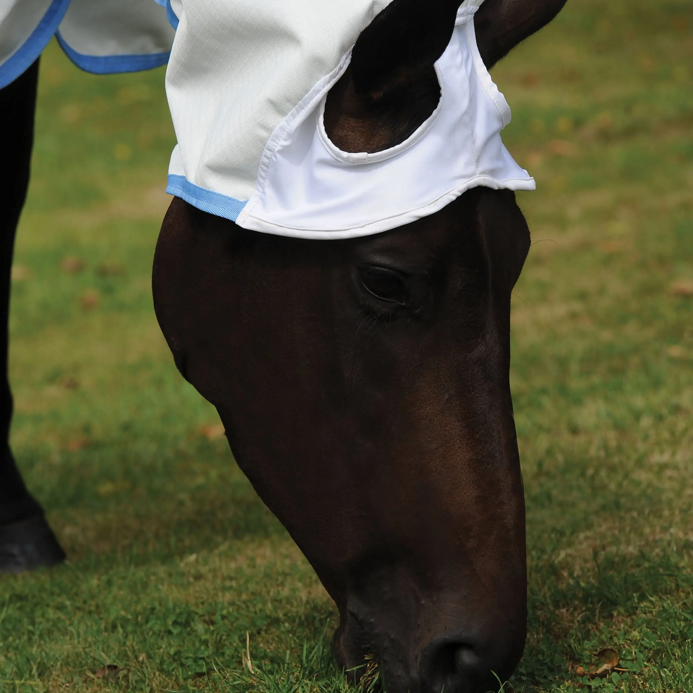 WeatherBeeta Sweet Itch Shield Combo Neck Fly Rug - Image 16