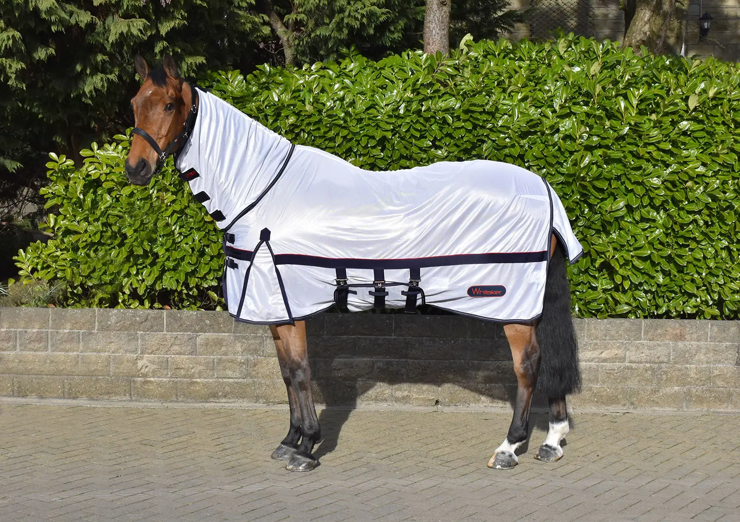 Whitaker Rastrick Fly Rug Mesh White - Image 2