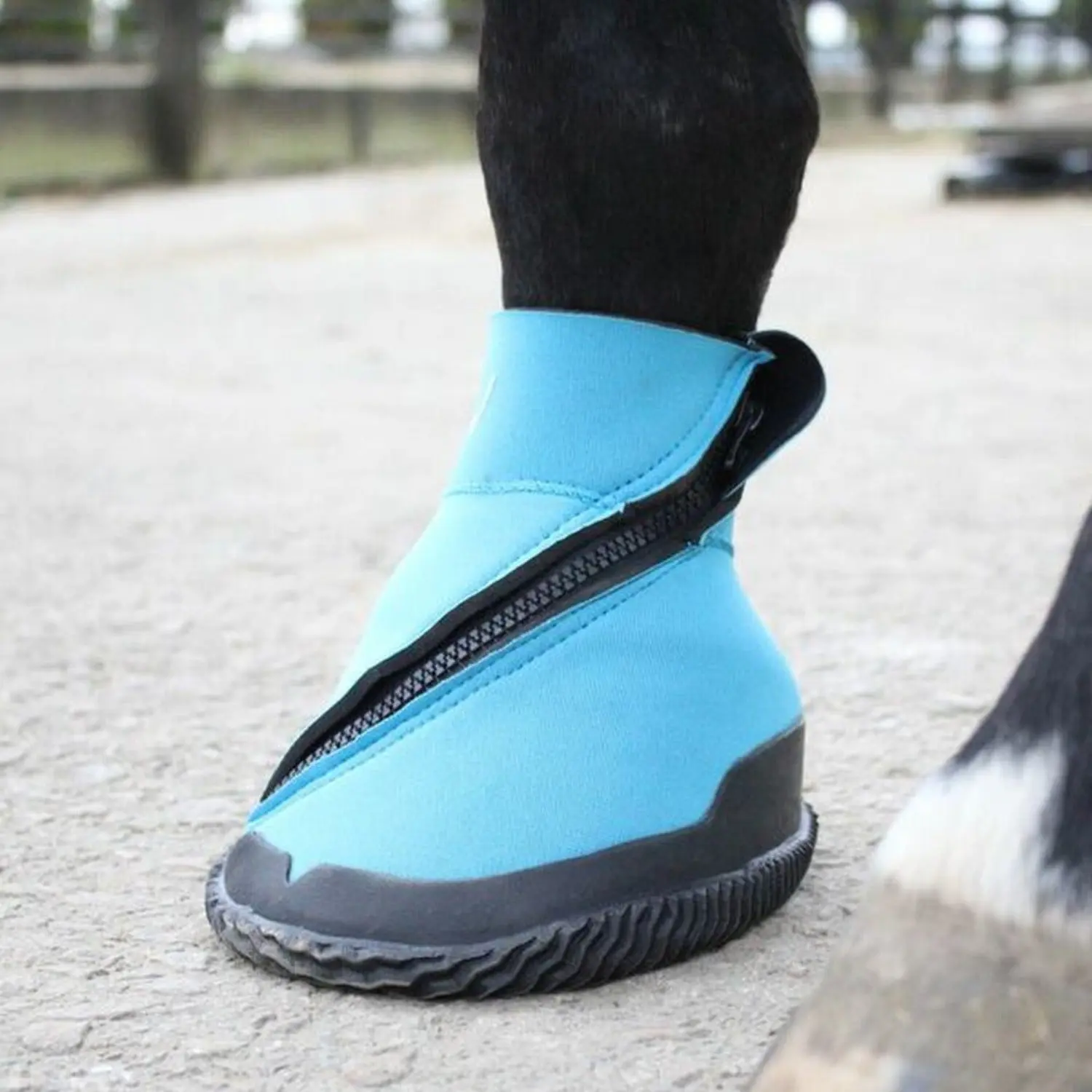 Woof Wear Medical Hoof Boot - Image 4