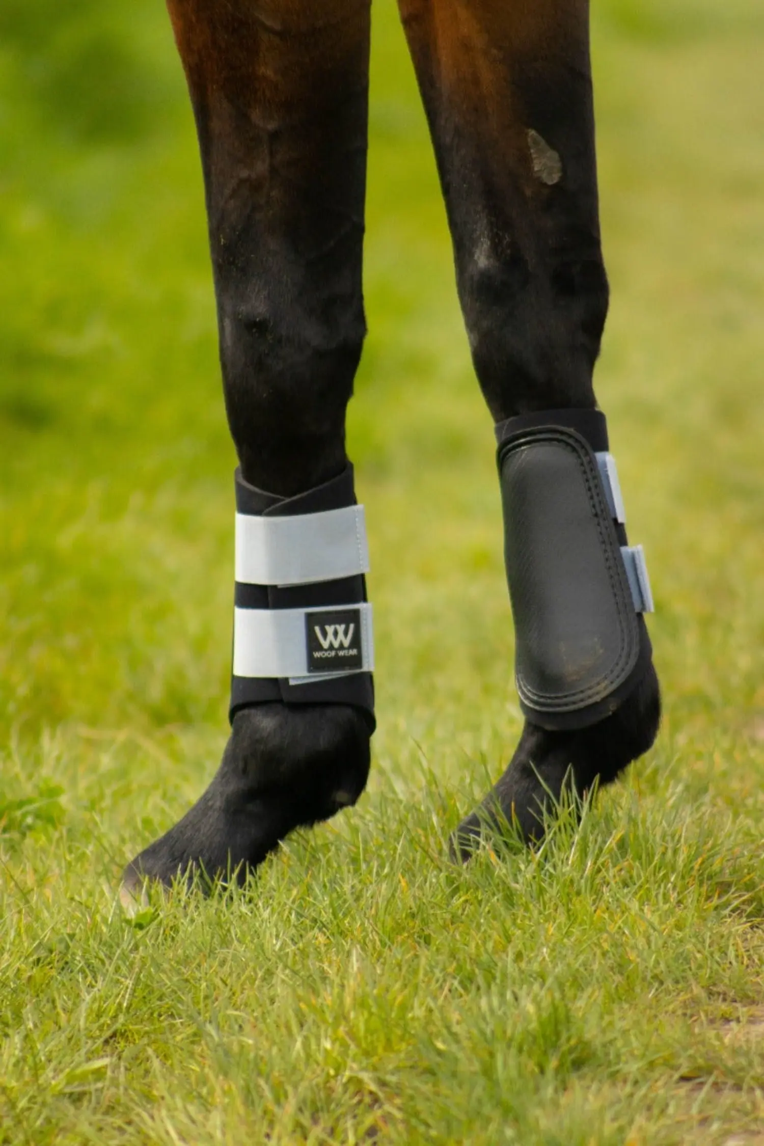 Woof Wear Porcelain Blue Club Brushing Boot - Image 2